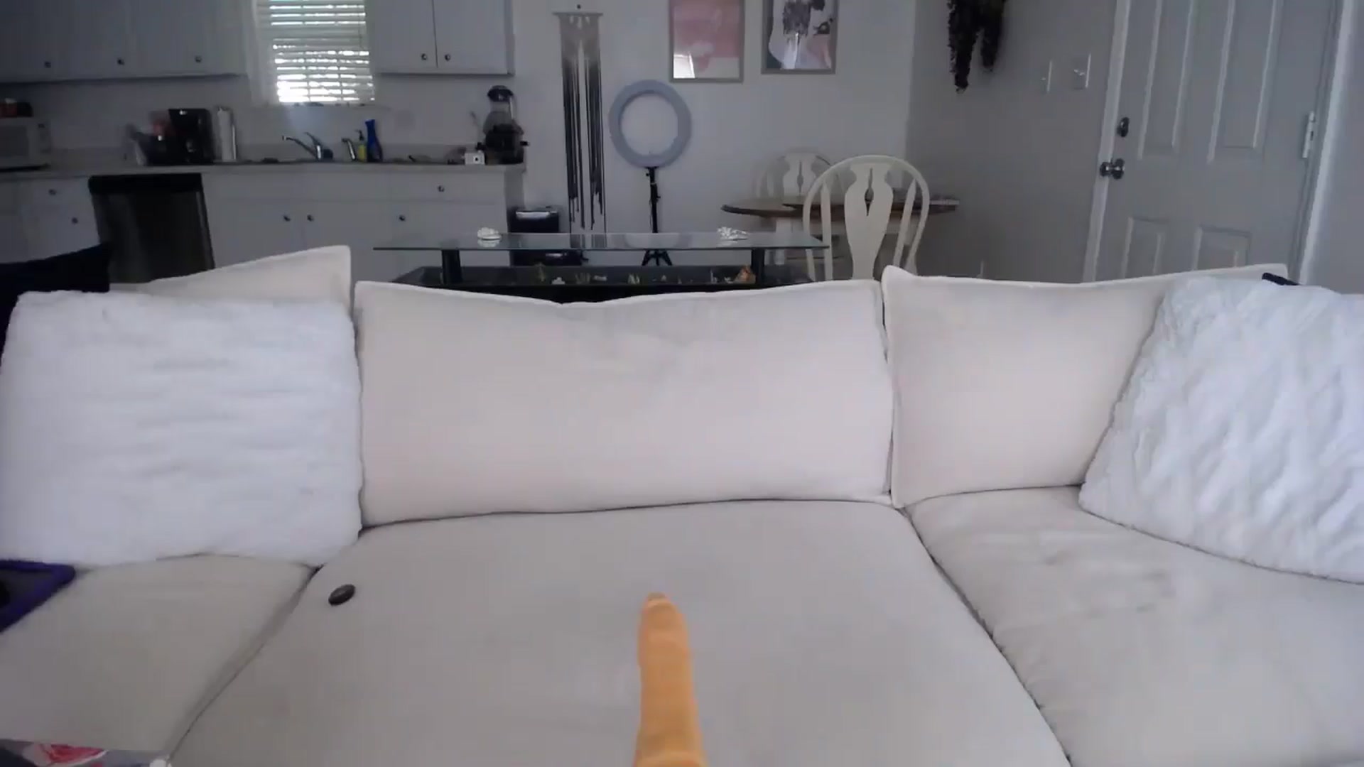 Gallery image thumbnail from MissSadieB's myfreecams stream on, 08/23/2024, 19:02 image 3 of 20