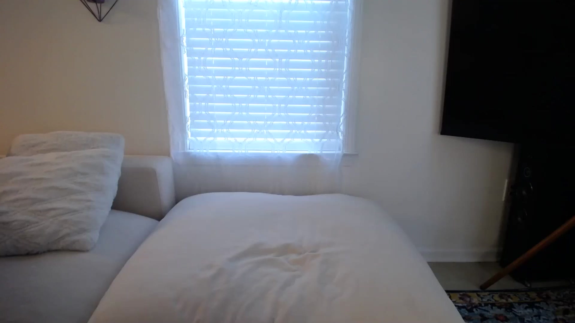 Gallery image thumbnail from MissSadieB's myfreecams stream on, 09/26/2024, 15:27 image 11 of 20