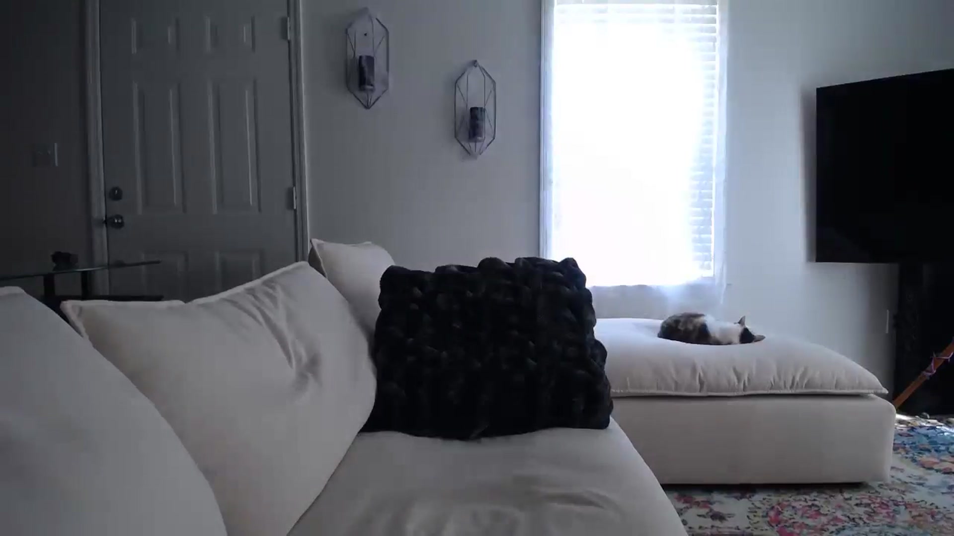 Gallery image thumbnail from MissSadieB's myfreecams stream on, 10/15/2024, 18:59 image 3 of 20