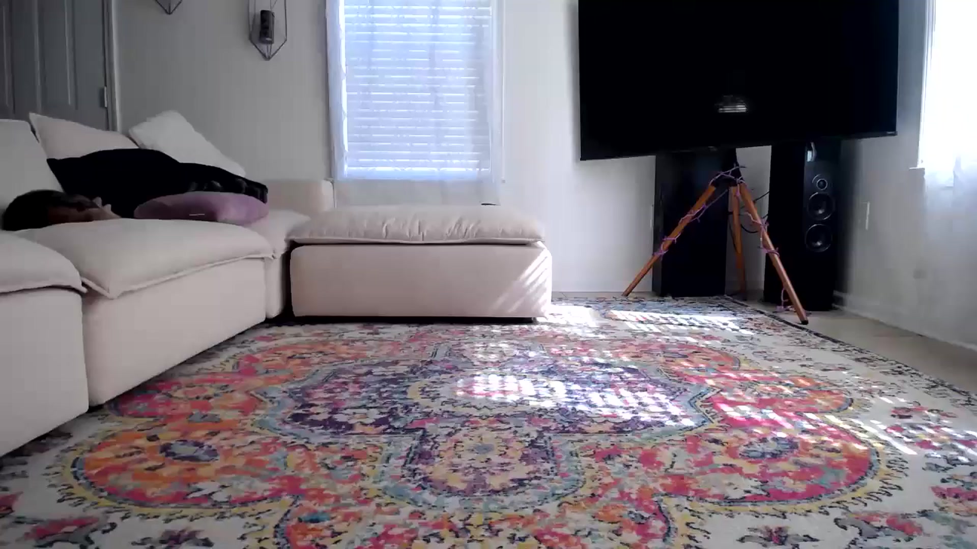 Gallery image thumbnail from MissSadieB's myfreecams stream on, 10/17/2024, 16:54 image 3 of 20
