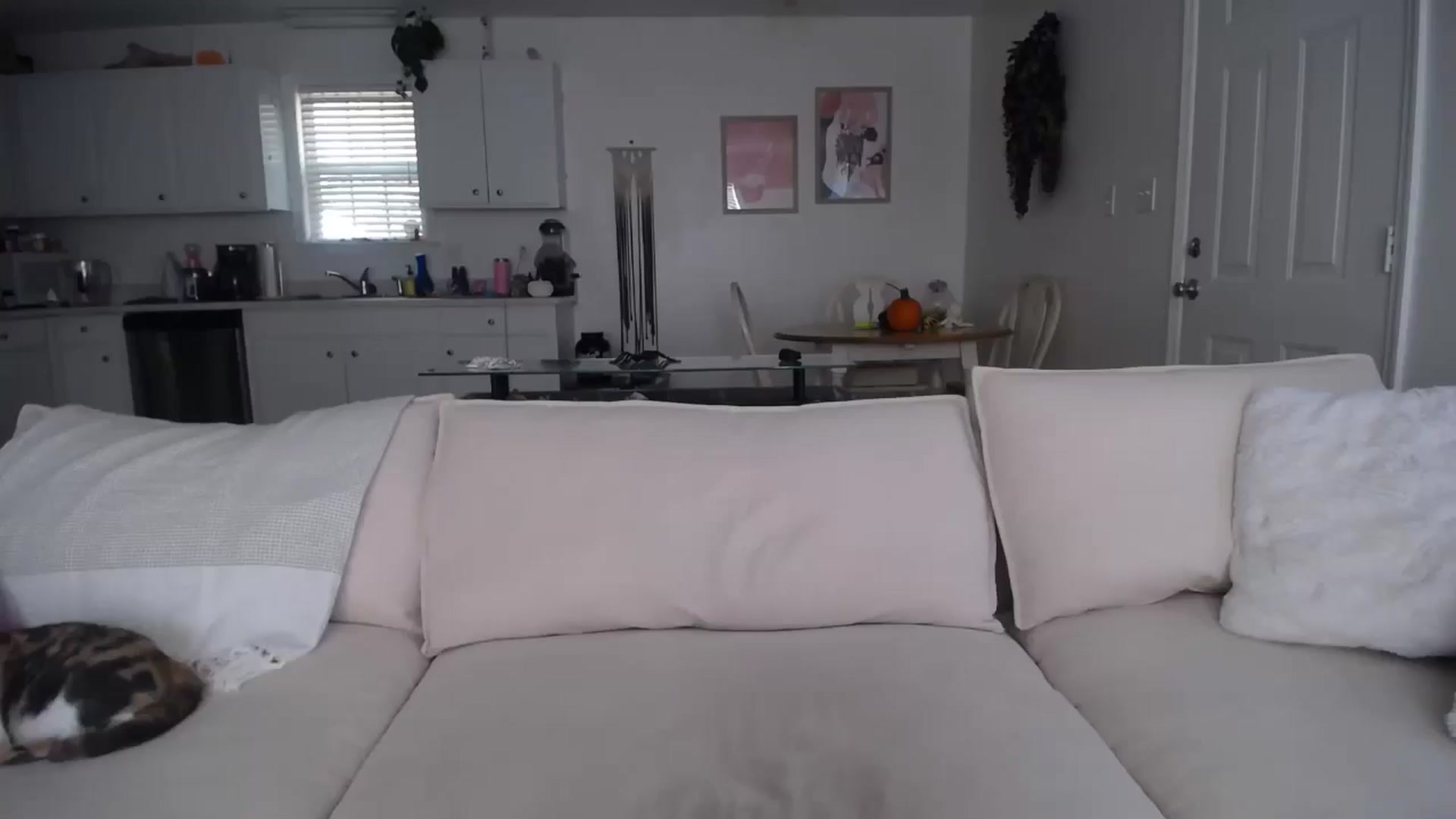 Gallery image thumbnail from MissSadieB's myfreecams stream on, 10/21/2024, 19:29 image 1 of 20