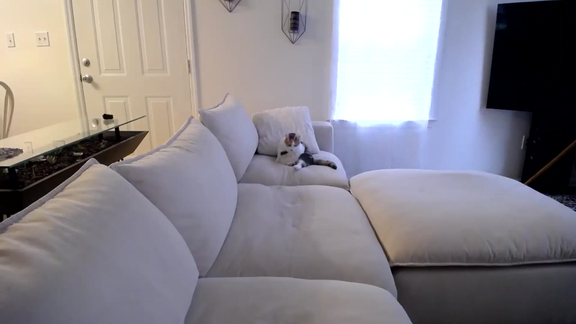 Gallery image thumbnail from MissSadieB's myfreecams stream on, 11/07/2024, 19:00 image 12 of 20