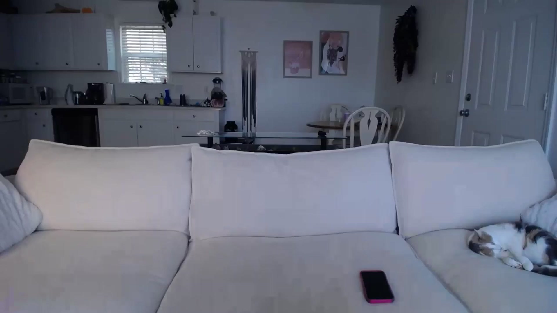 Gallery image thumbnail from MissSadieB's myfreecams stream on, 11/08/2024, 20:44 image 3 of 20