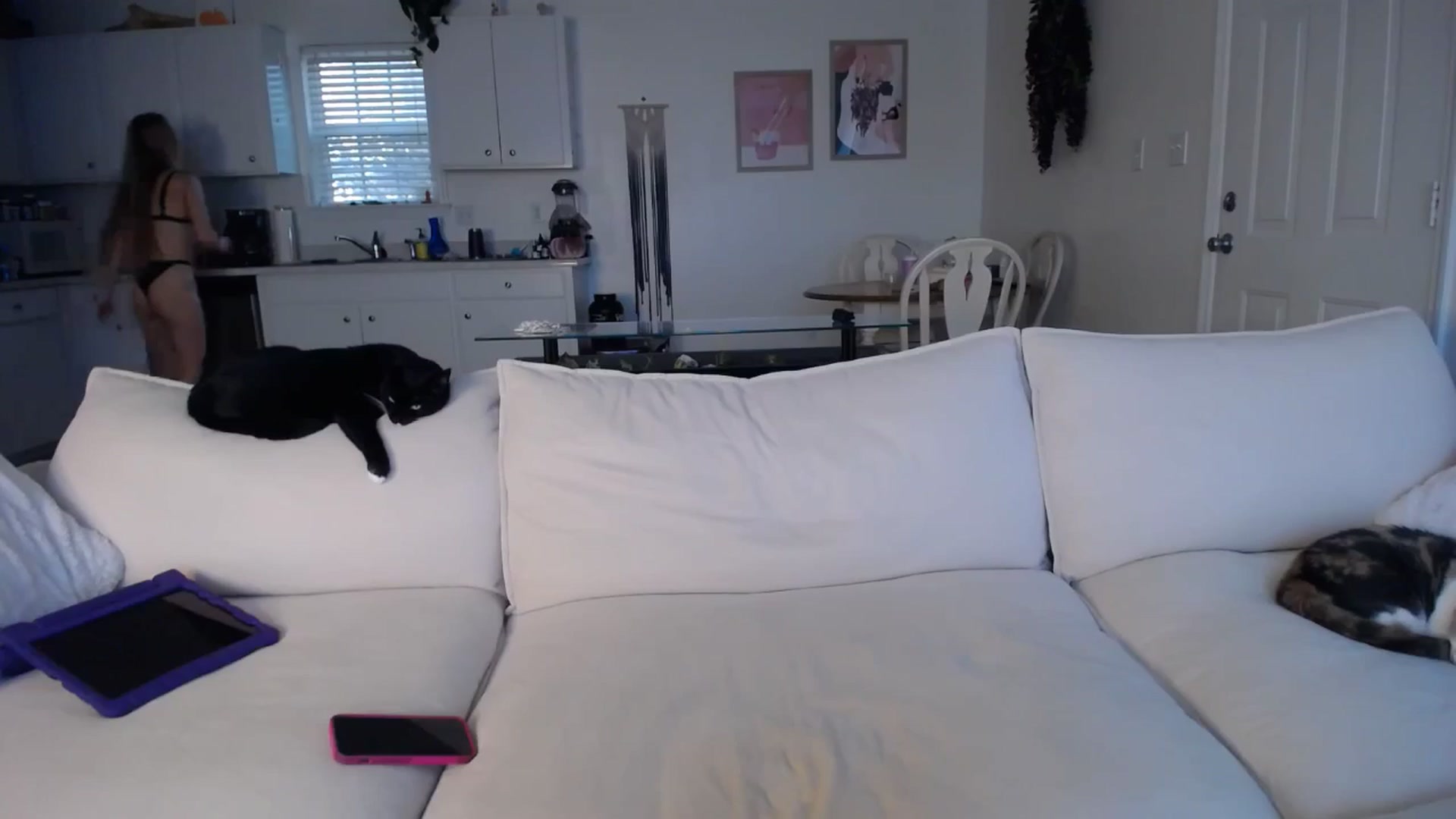 Gallery image thumbnail from MissSadieB's myfreecams stream on, 11/08/2024, 21:38 image 14 of 20