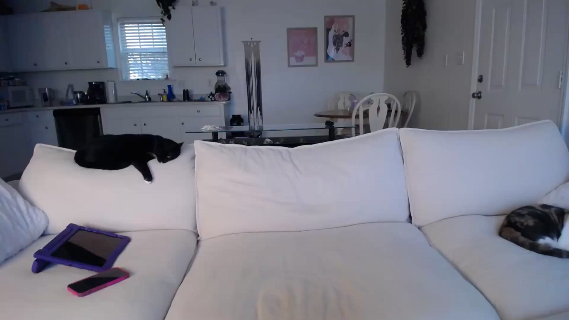 Gallery image thumbnail from MissSadieB's myfreecams stream on, 11/08/2024, 21:38 image 6 of 20