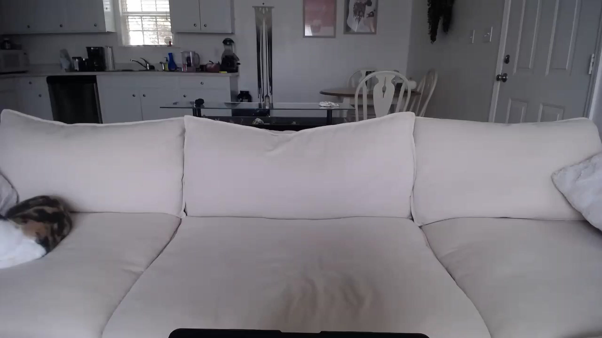 Gallery image thumbnail from MissSadieB's myfreecams stream on, 11/20/2024, 20:14 image 16 of 20