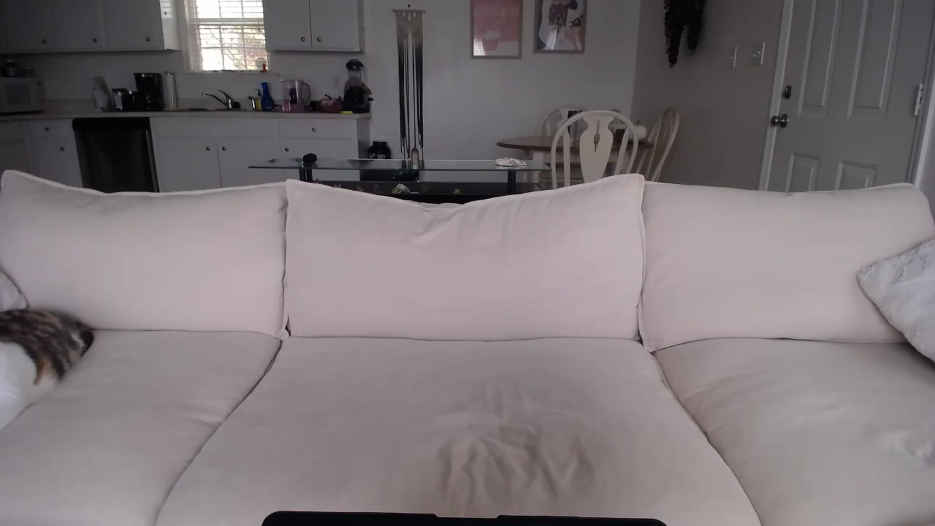 Gallery image thumbnail from MissSadieB's myfreecams stream on, 11/20/2024, 20:14 image 20 of 20