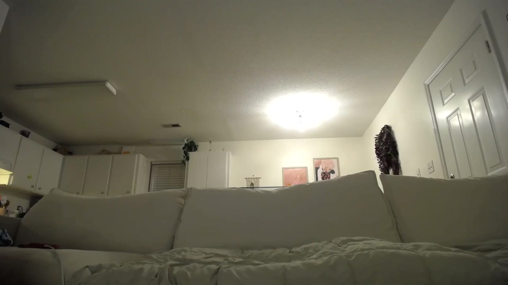 Gallery image thumbnail from MissSadieB's myfreecams stream on, 12/01/2024, 02:09 image 10 of 20