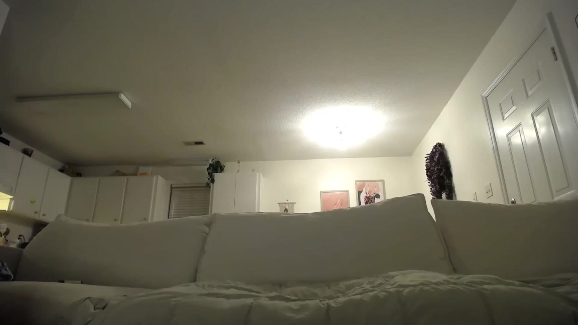 Gallery image thumbnail from MissSadieB's myfreecams stream on, 12/01/2024, 02:09 image 2 of 20