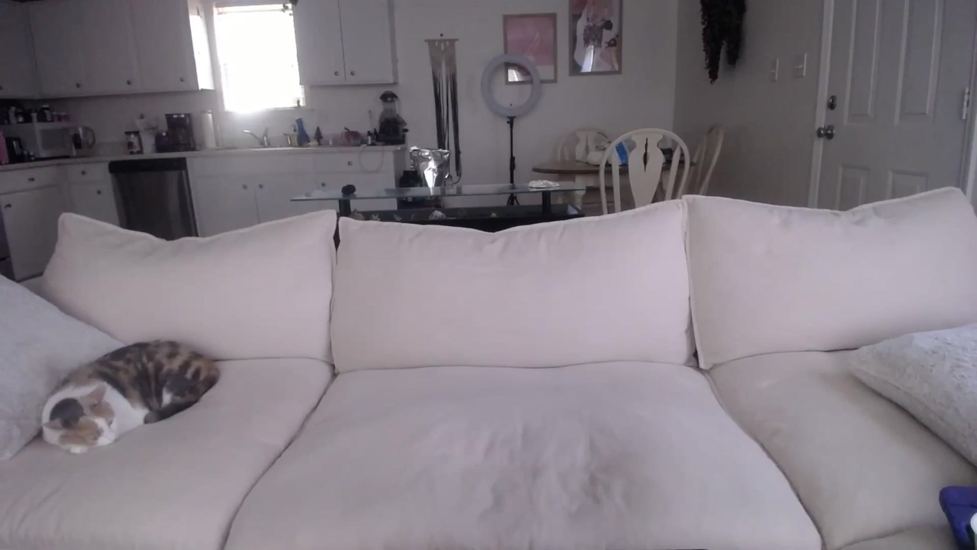 Gallery image thumbnail from MissSadieB's myfreecams stream on, 12/03/2024, 20:05 image 3 of 20
