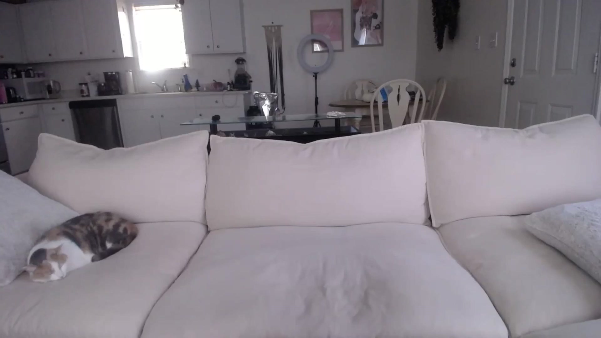 Gallery image thumbnail from MissSadieB's myfreecams stream on, 12/03/2024, 20:05 image 8 of 20