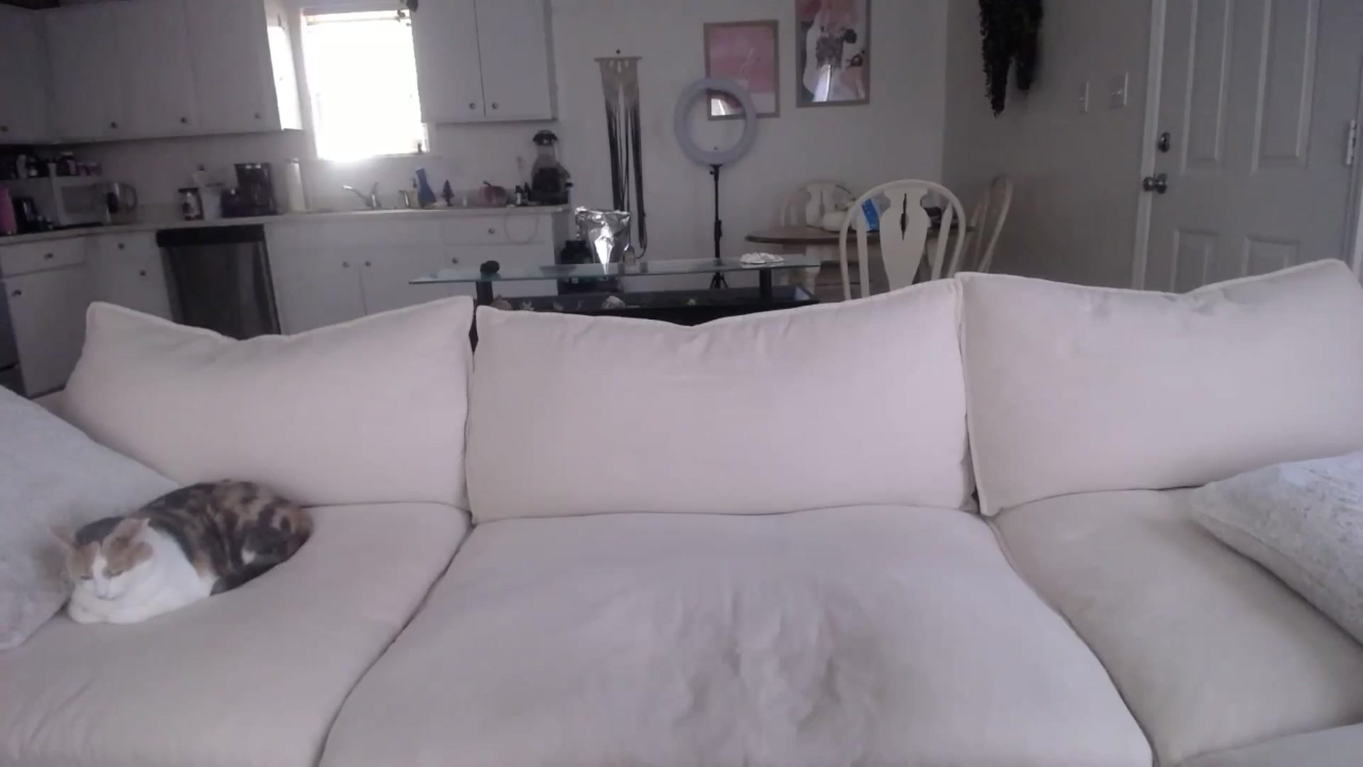 Gallery image thumbnail from MissSadieB's myfreecams stream on, 12/03/2024, 20:05 image 7 of 20