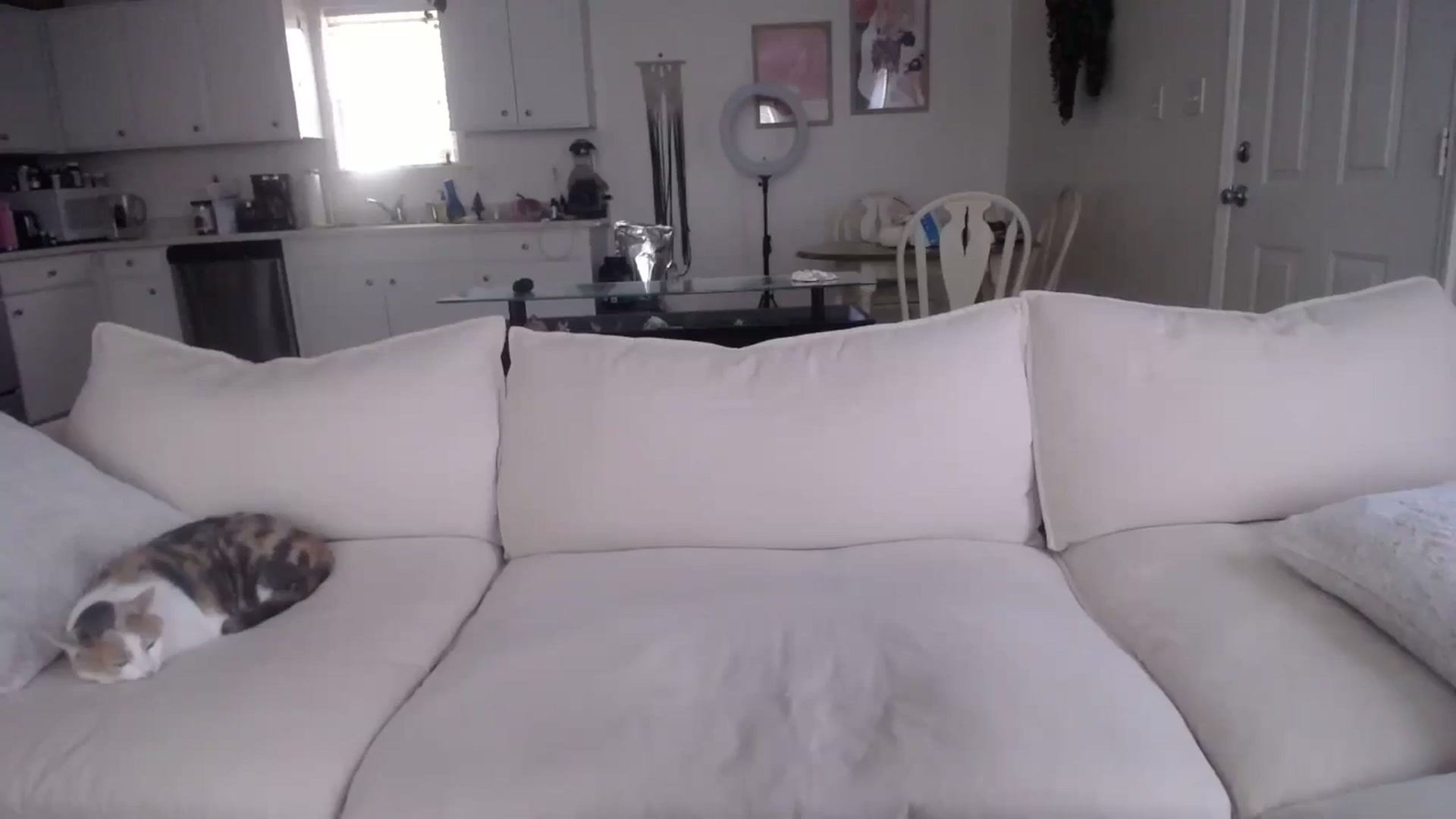 Gallery image thumbnail from MissSadieB's myfreecams stream on, 12/03/2024, 20:05 image 9 of 20