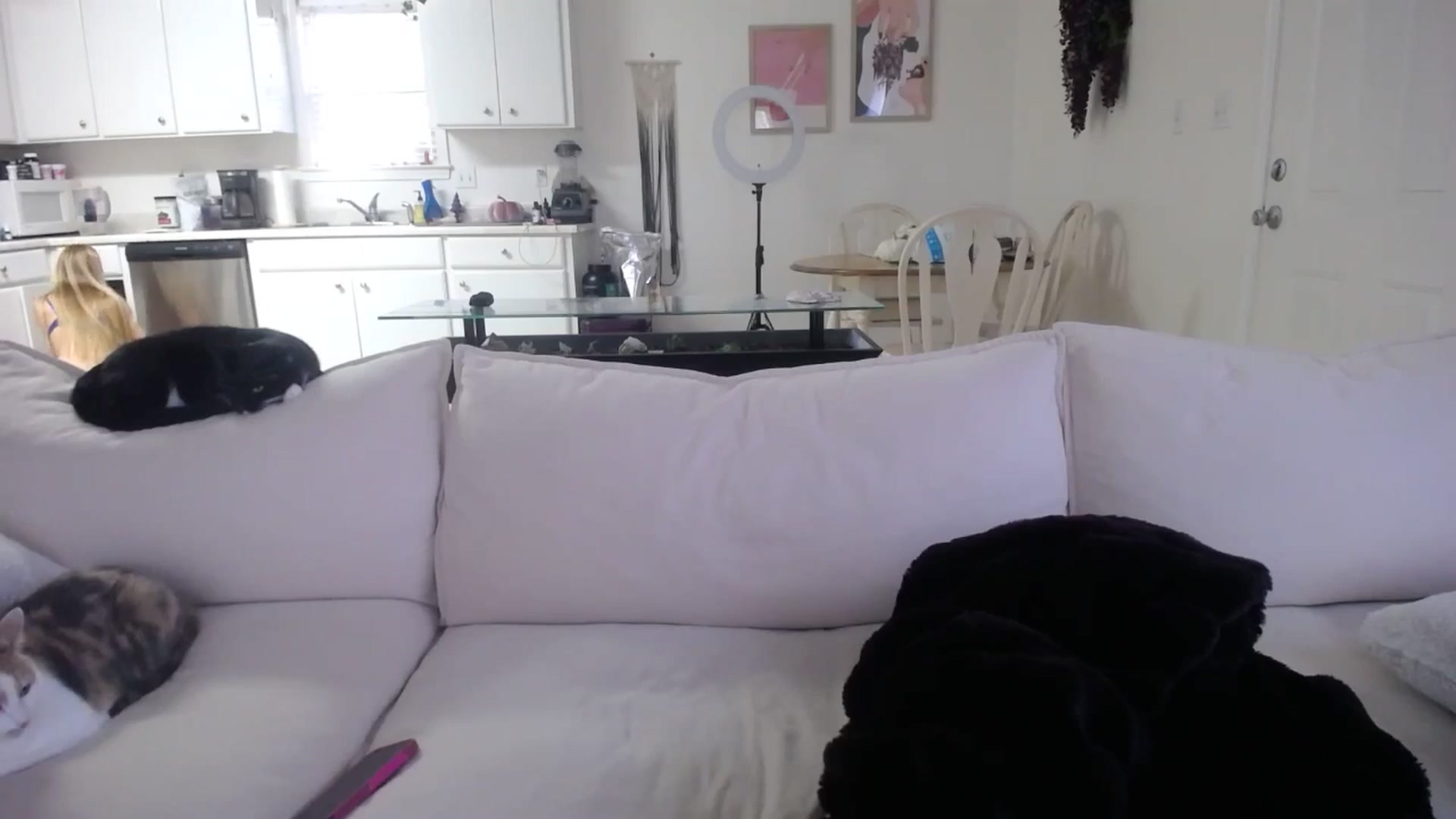 Gallery image thumbnail from MissSadieB's myfreecams stream on, 12/03/2024, 21:45 image 3 of 20