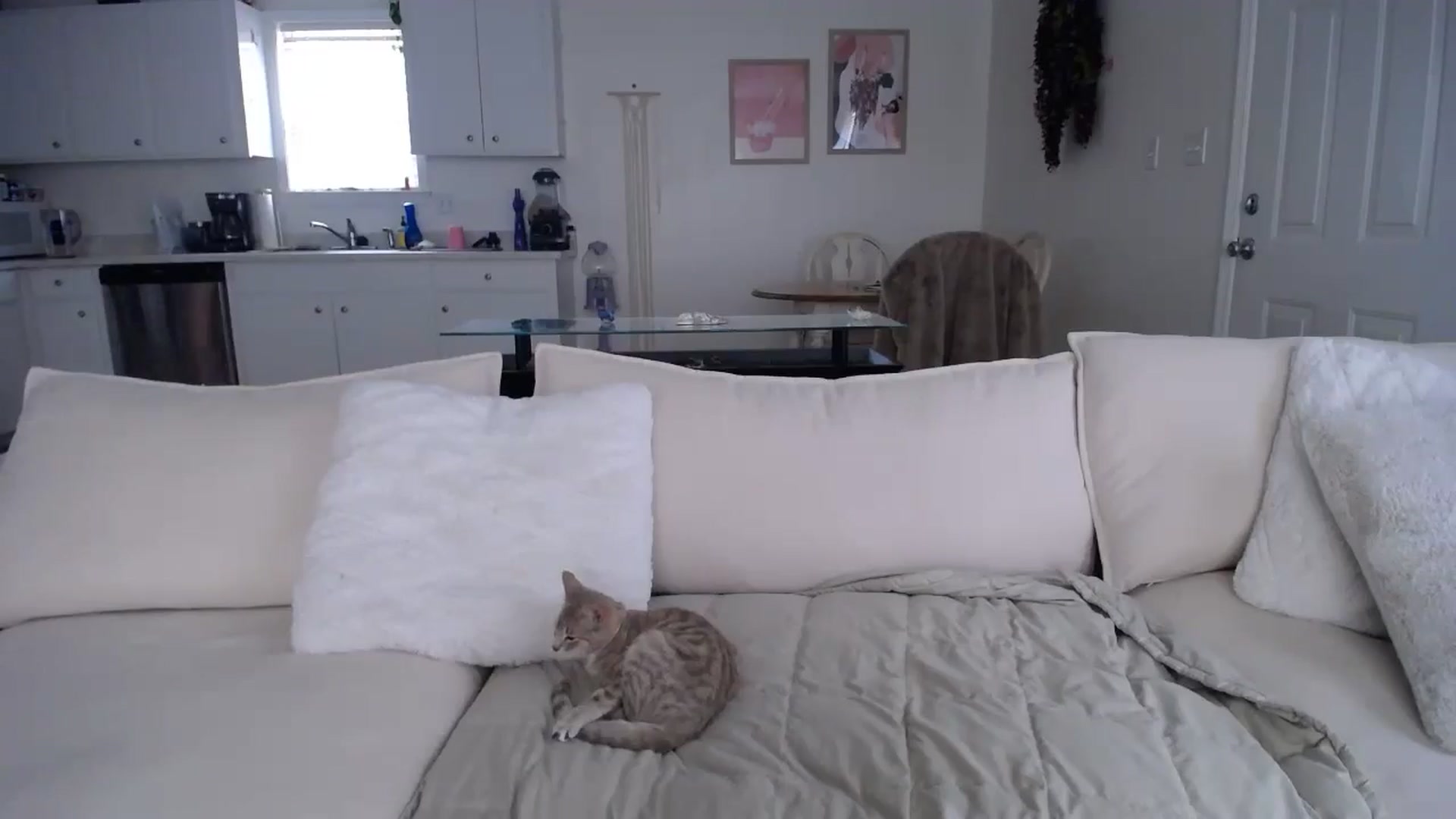Gallery image thumbnail from MissSadieB's myfreecams stream on, 01/30/2025, 20:25 image 16 of 20