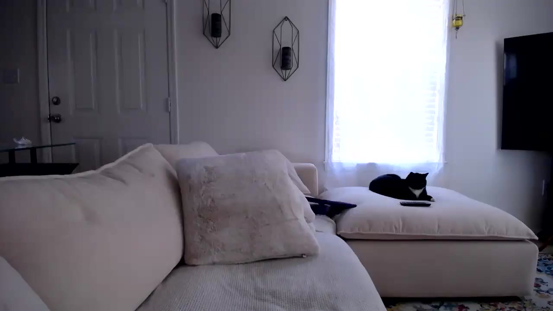 Gallery image thumbnail from MissSadieB's myfreecams stream on, 02/02/2025, 20:44 image 9 of 20