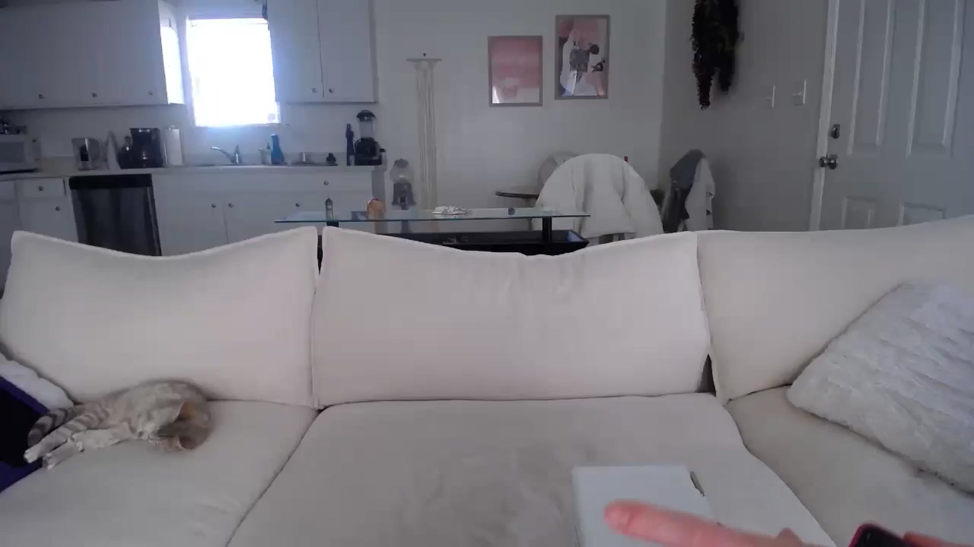 Gallery image thumbnail from MissSadieB's myfreecams stream on, 02/05/2025, 19:47 image 4 of 20
