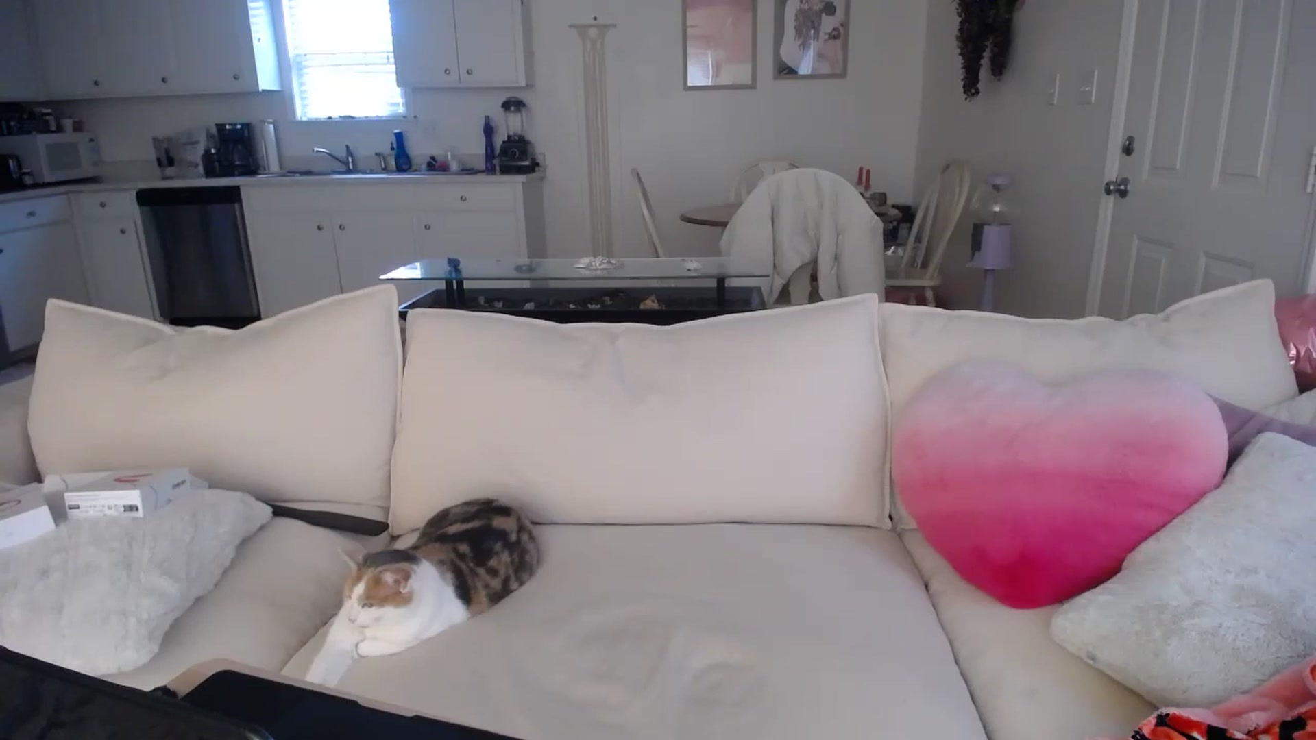 Gallery image thumbnail from MissSadieB's myfreecams stream on, 02/19/2025, 19:18 image 14 of 20