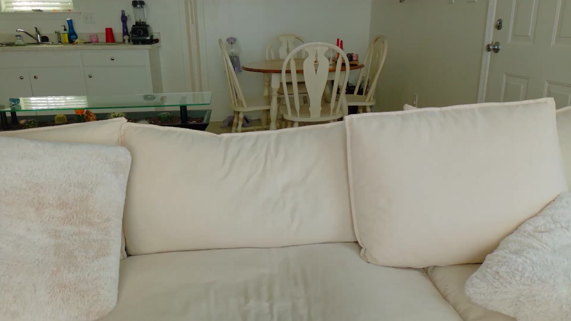 Gallery image thumbnail from MissSadieB's myfreecams stream on, 04/18/2025, 19:25 image 14 of 20