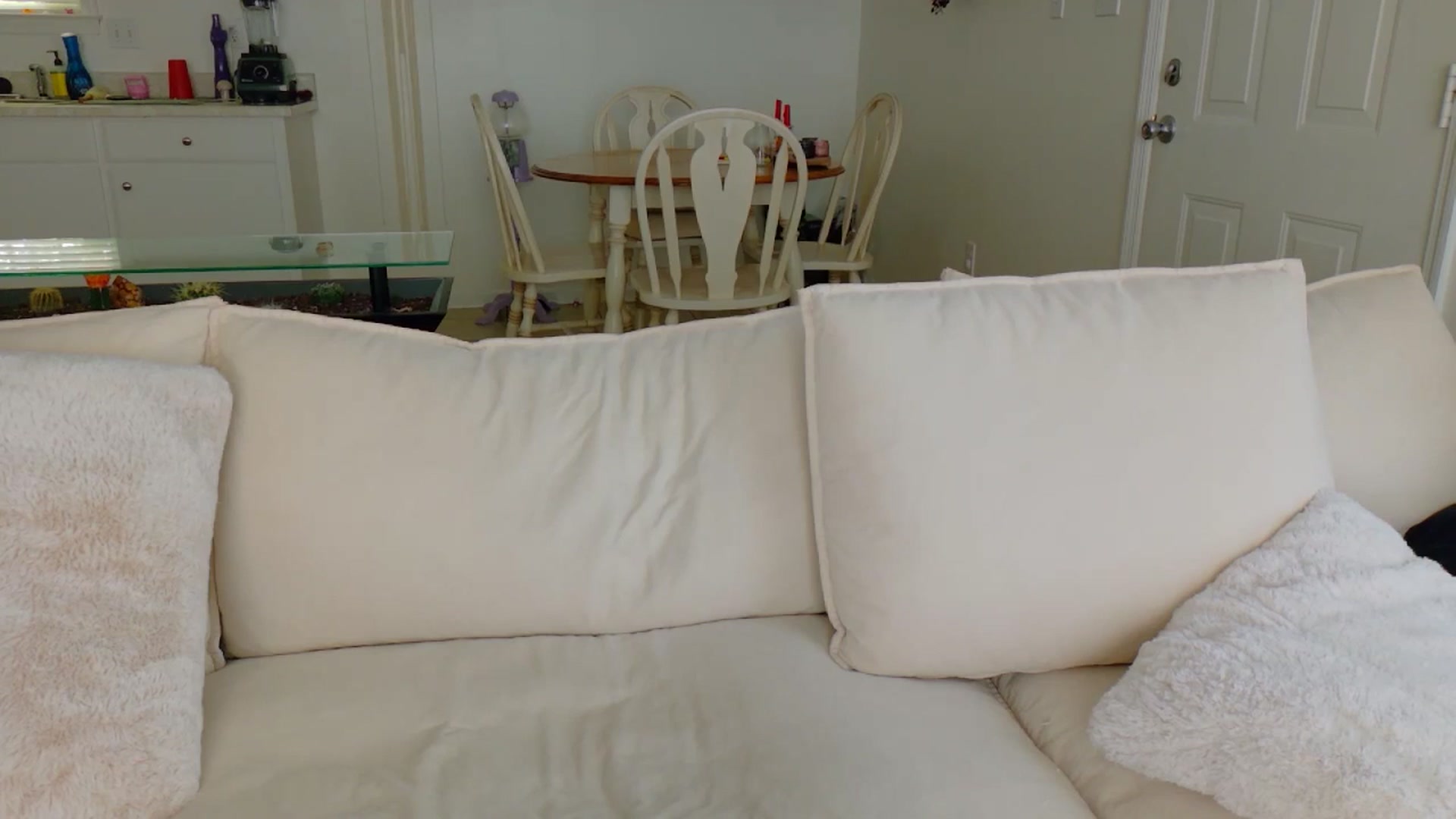 Gallery image thumbnail from MissSadieB's myfreecams stream on, 04/18/2025, 19:25 image 8 of 20