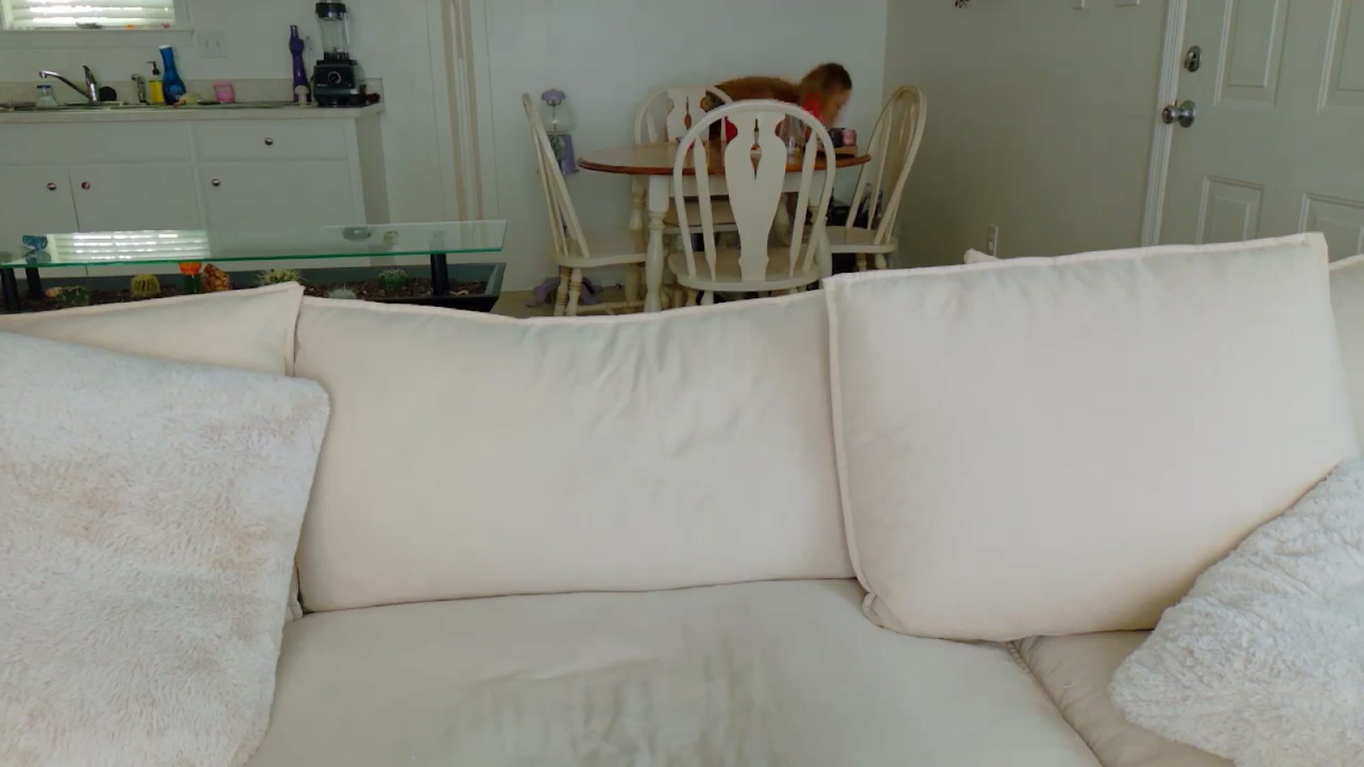 Gallery image thumbnail from MissSadieB's myfreecams stream on, 04/18/2025, 19:25 image 17 of 20