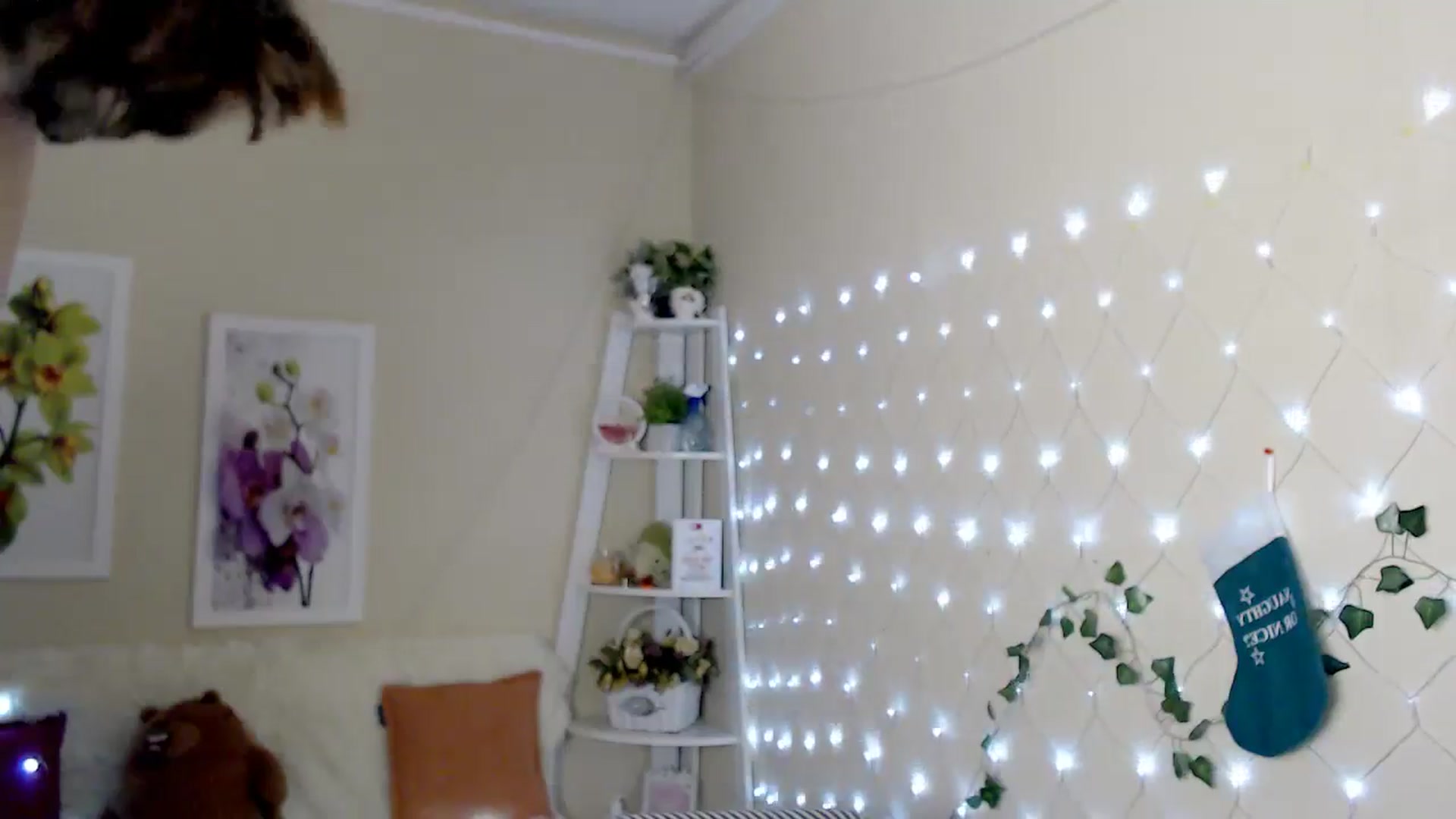 Gallery image thumbnail from MissSeul's myfreecams stream on, 12/31/2024, 12:35 image 3 of 20