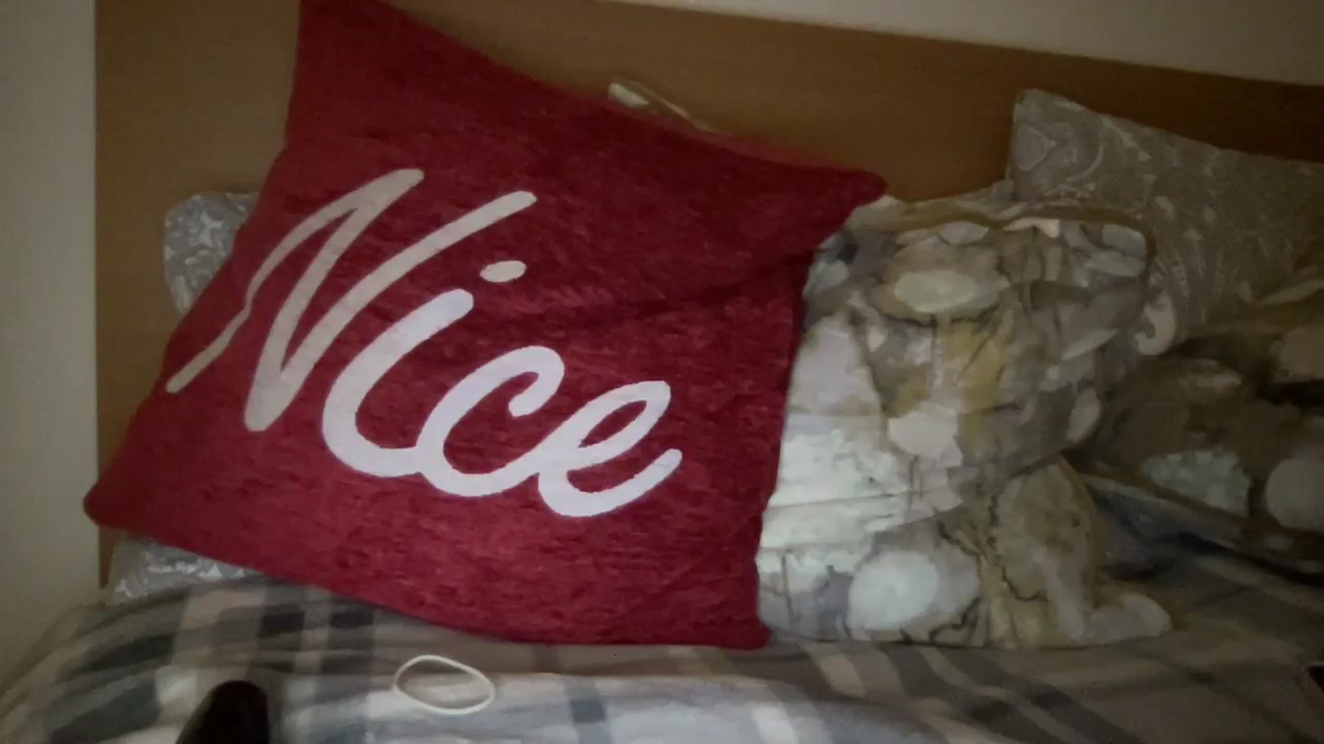 Gallery image thumbnail from MissSummer1's myfreecams stream on, 08/30/2023, 21:53 image 13 of 20