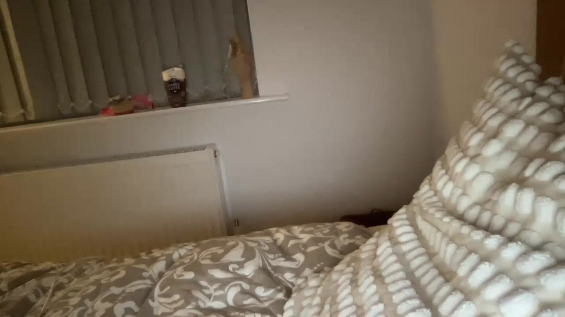 Gallery image thumbnail from MissSummer1's myfreecams stream on, 01/13/2024, 22:00 image 12 of 20