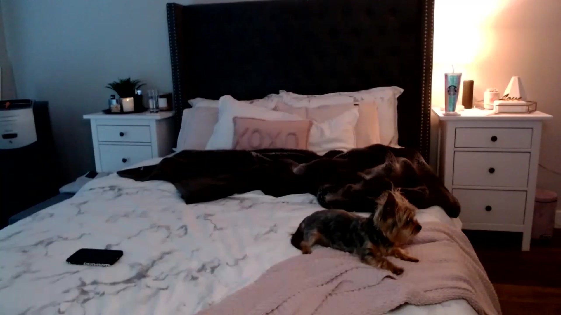 Gallery image thumbnail from MissTinsleyyx's myfreecams stream on, 06/03/2023, 03:33 image 12 of 20