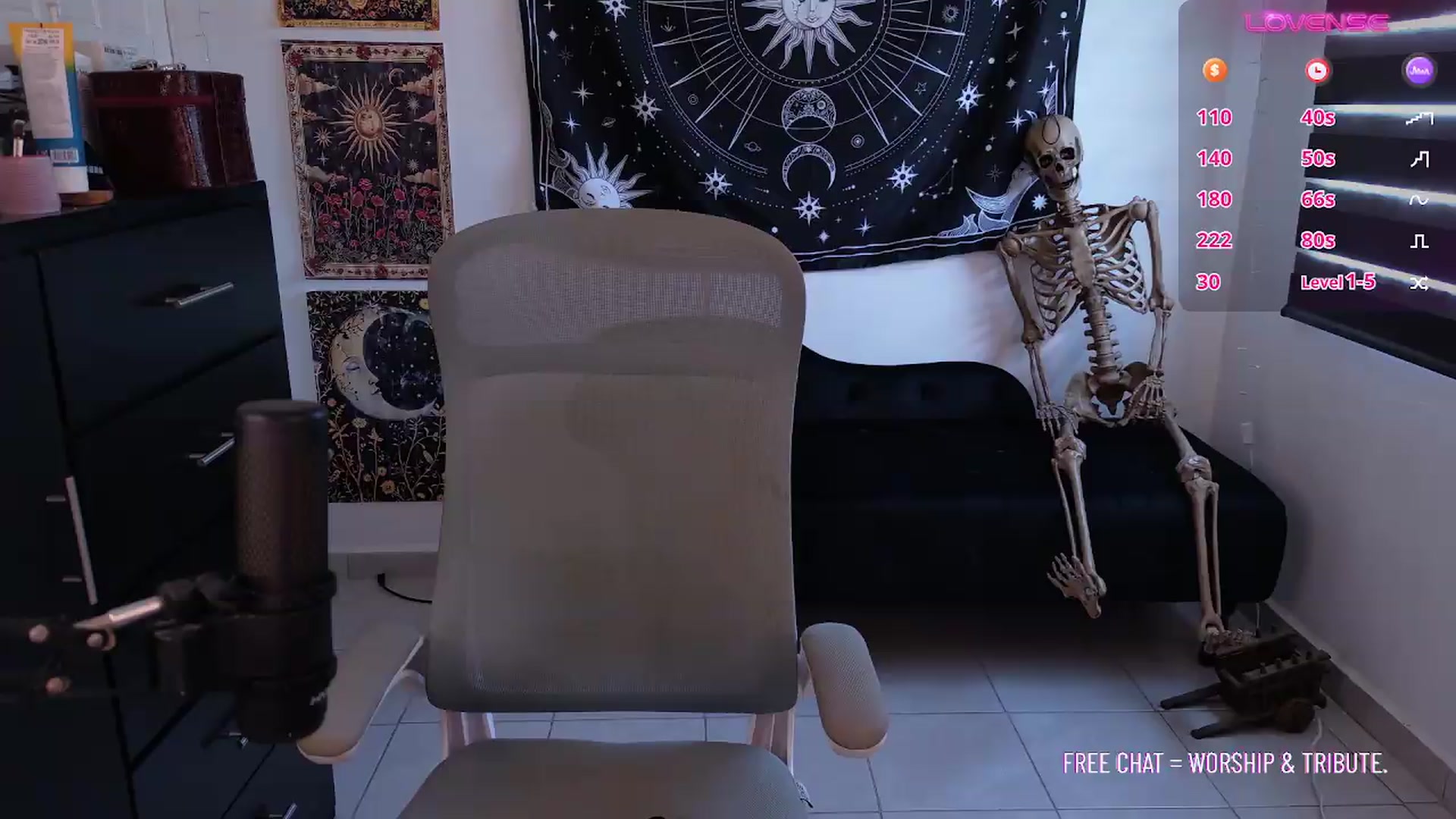 Gallery image thumbnail from MissVelvett's myfreecams stream on, 08/11/2026, 18:07 image 15 of 20