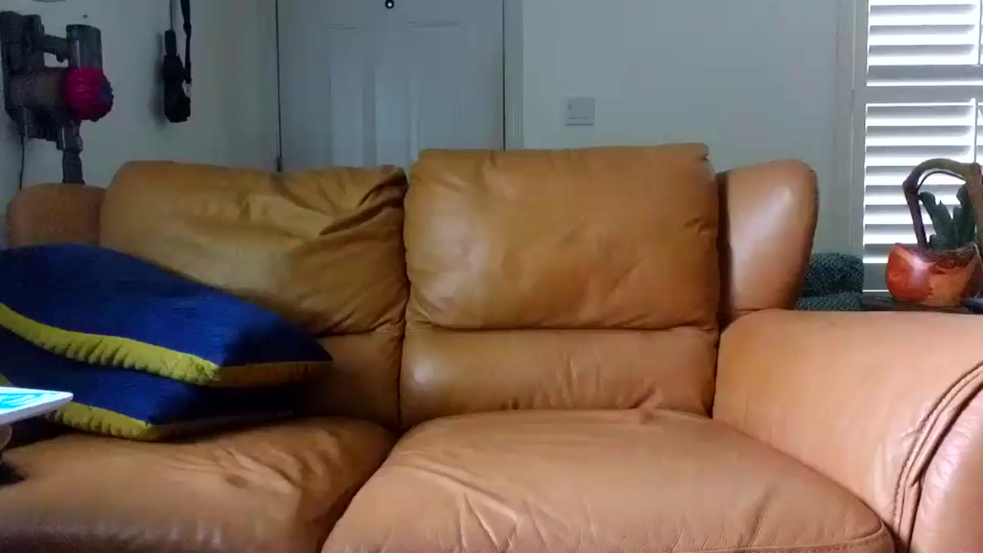 Gallery image thumbnail from Miss_Devika's myfreecams stream on, 07/20/2024, 18:43 image 4 of 20
