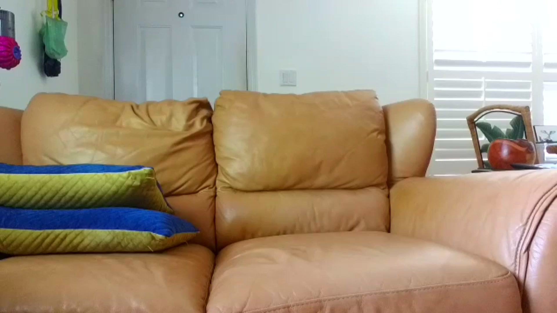 Gallery image thumbnail from Miss_Devika's myfreecams stream on, 08/15/2024, 18:33 image 9 of 20