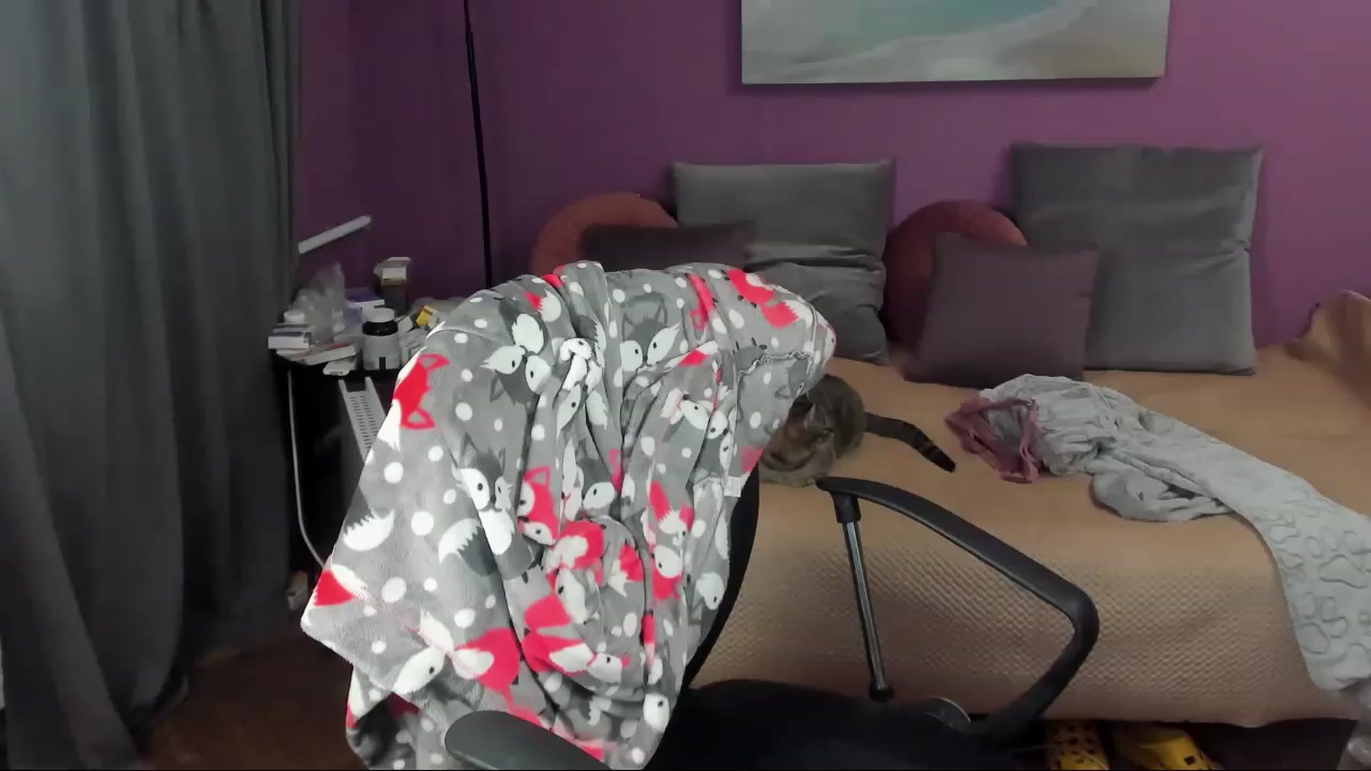 Gallery image thumbnail from Miss_Moan69's myfreecams stream on, 12/22/2022, 14:19 image 19 of 20