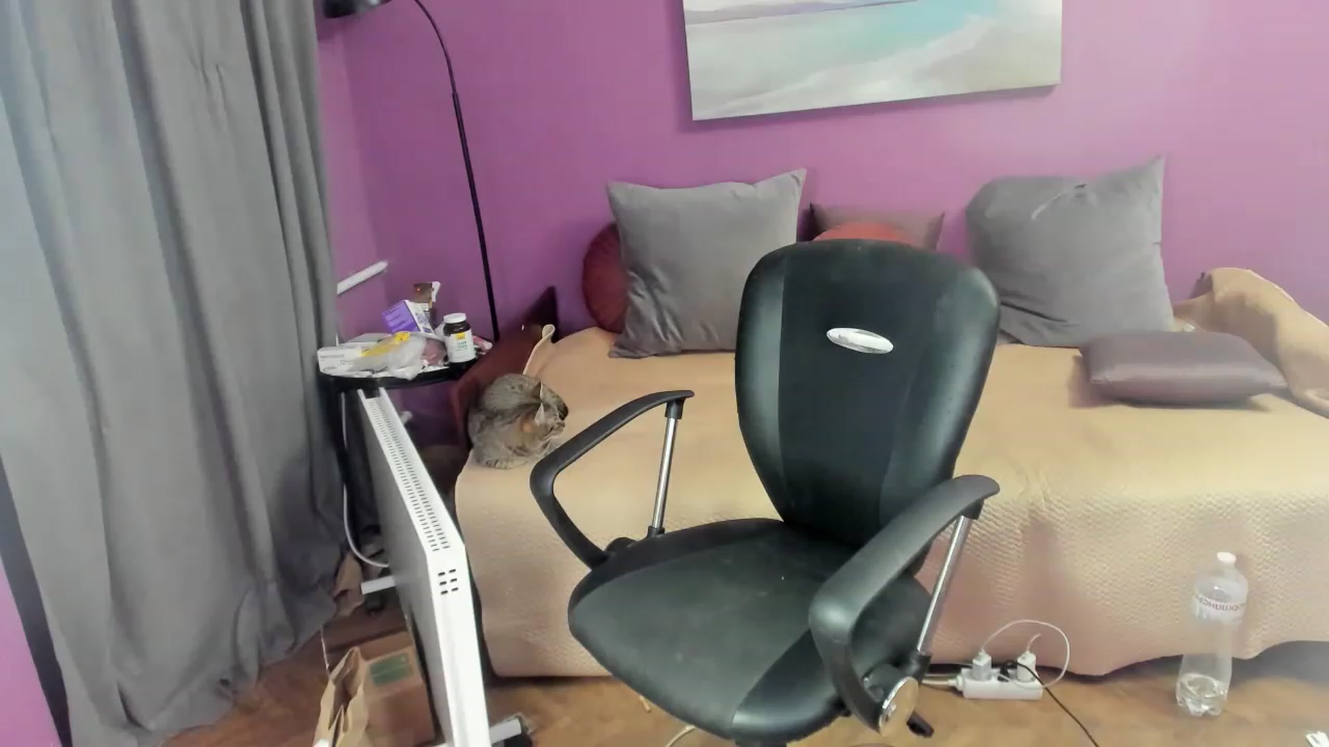 Gallery image thumbnail from Miss_Moan69's myfreecams stream on, 01/08/2023, 20:08 image 13 of 20