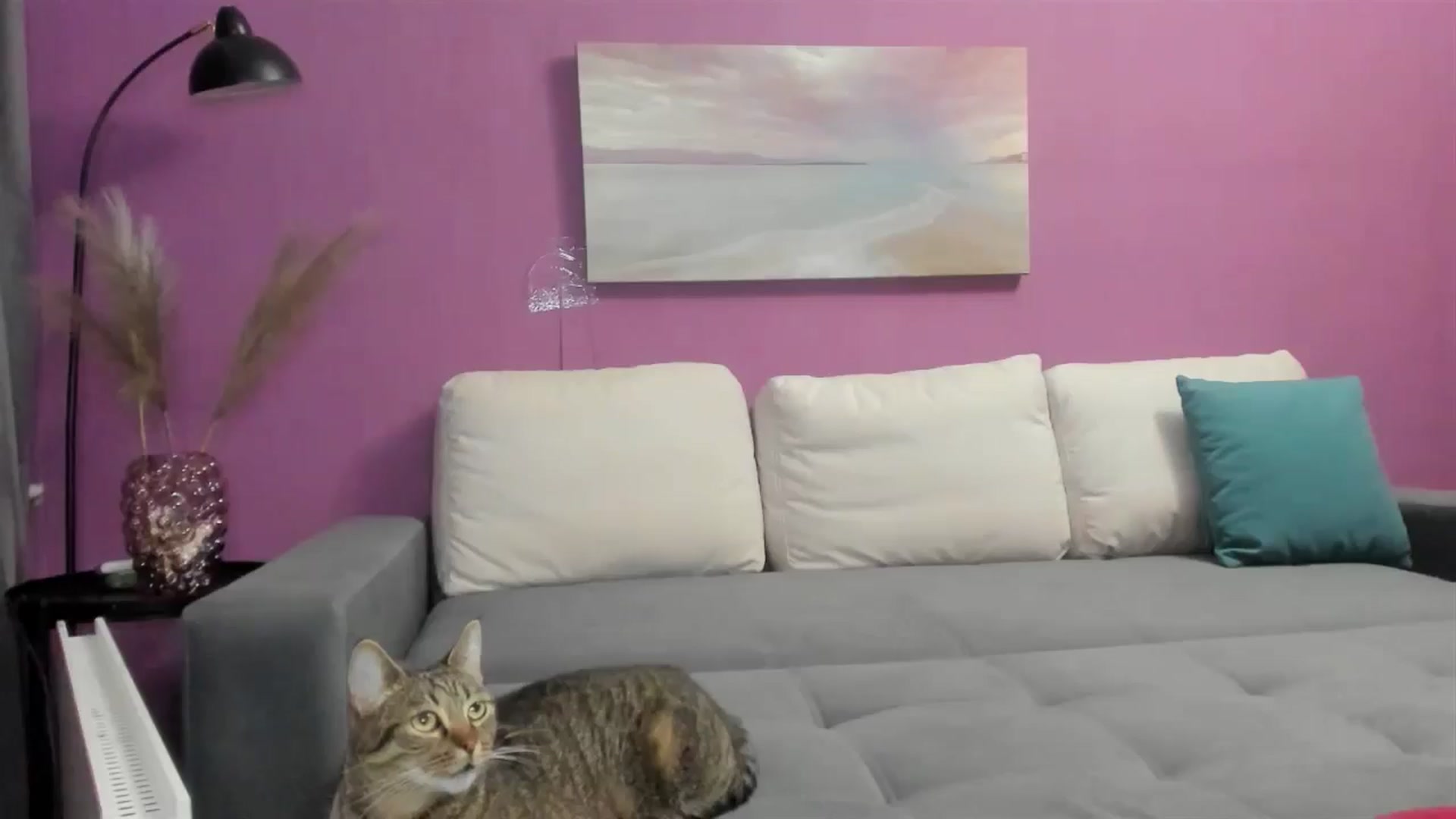 Gallery image thumbnail from Miss_Moan69's myfreecams stream on, 10/13/2024, 19:03 image 9 of 20