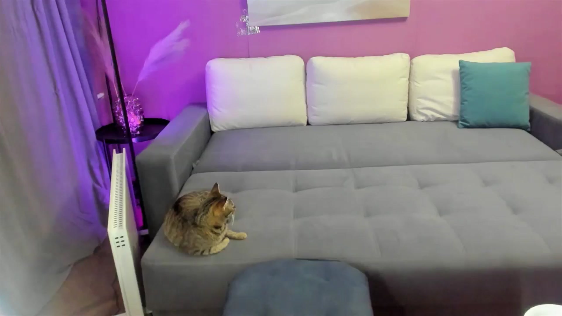 Gallery image thumbnail from Miss_Moan69's myfreecams stream on, 11/06/2024, 14:20 image 6 of 20