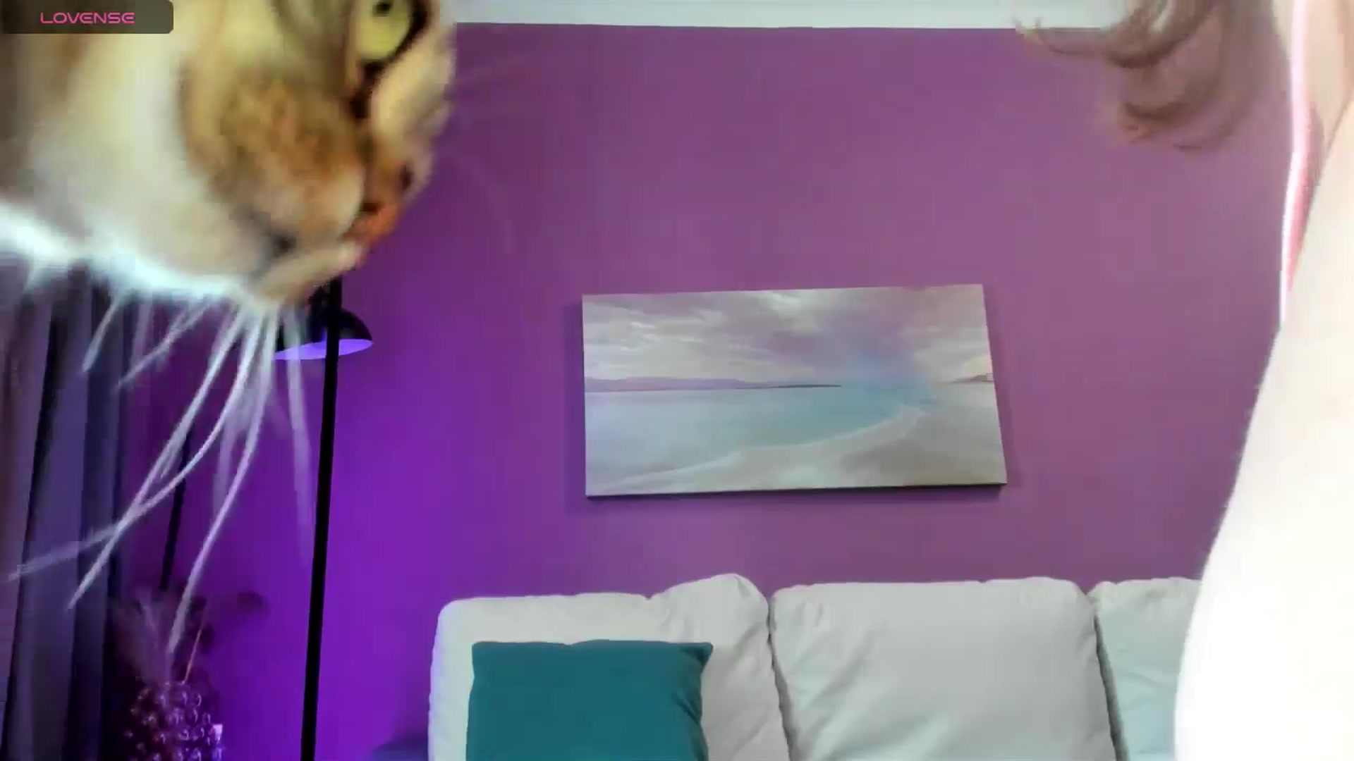 Gallery image thumbnail from Miss_Moan69's myfreecams stream on, 05/09/2025, 13:58 image 17 of 20