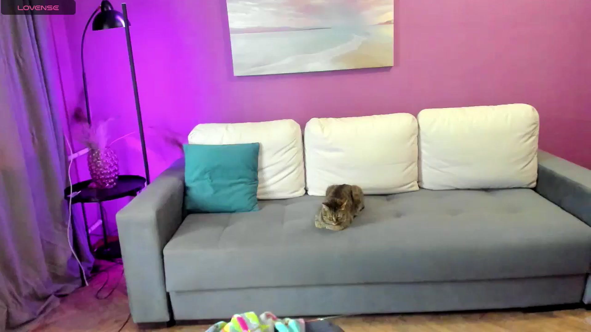 Gallery image thumbnail from Miss_Moan69's myfreecams stream on, 06/13/2025, 14:37 image 18 of 20