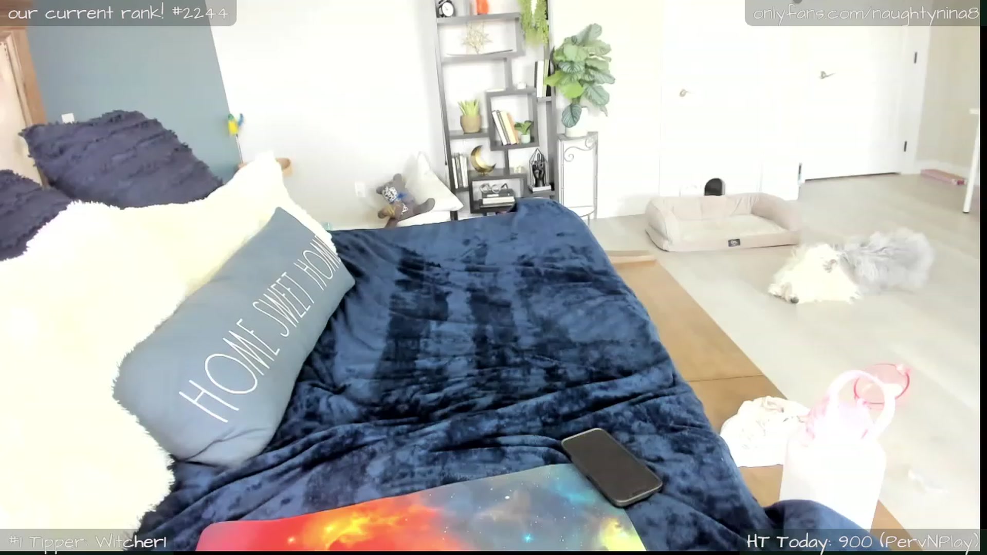 Gallery image thumbnail from Miss_Nina's myfreecams stream on, 05/18/2023, 23:42 image 14 of 20