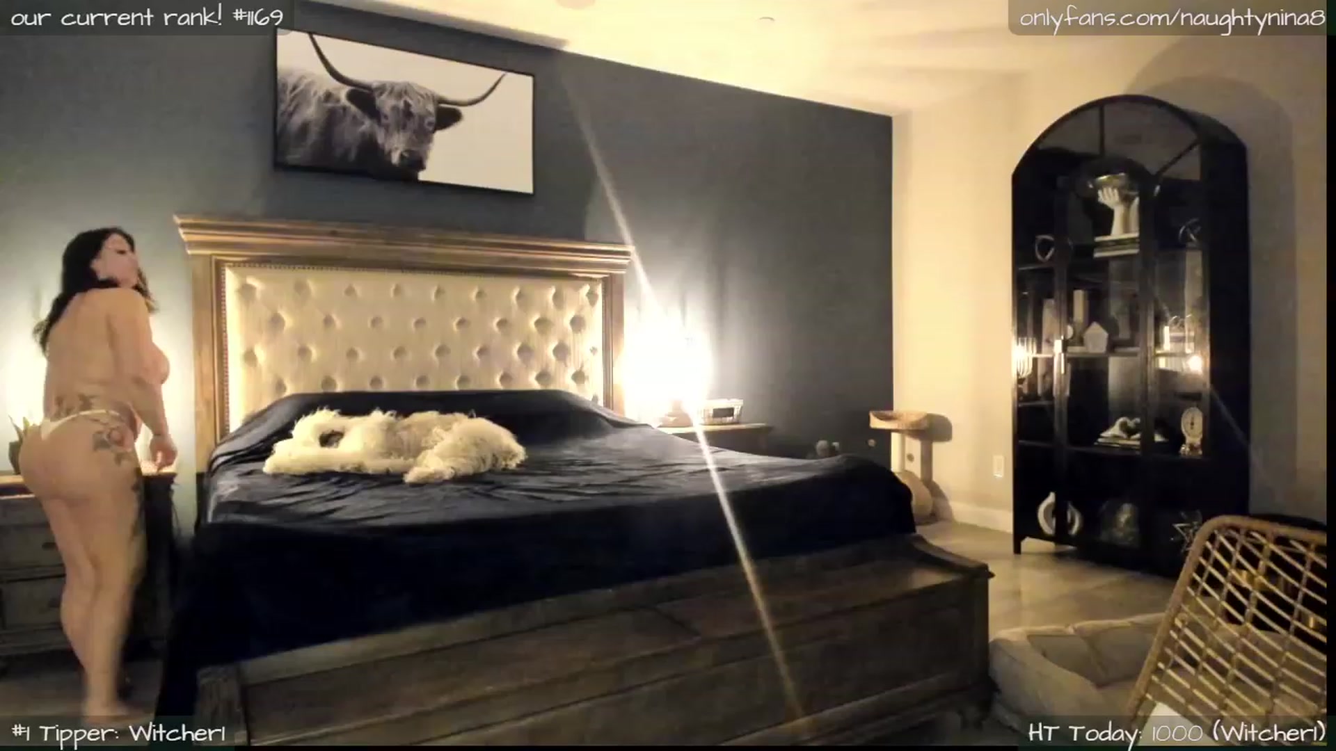 Gallery image thumbnail from Miss_Nina's myfreecams stream on, 07/25/2023, 08:00 image 16 of 20