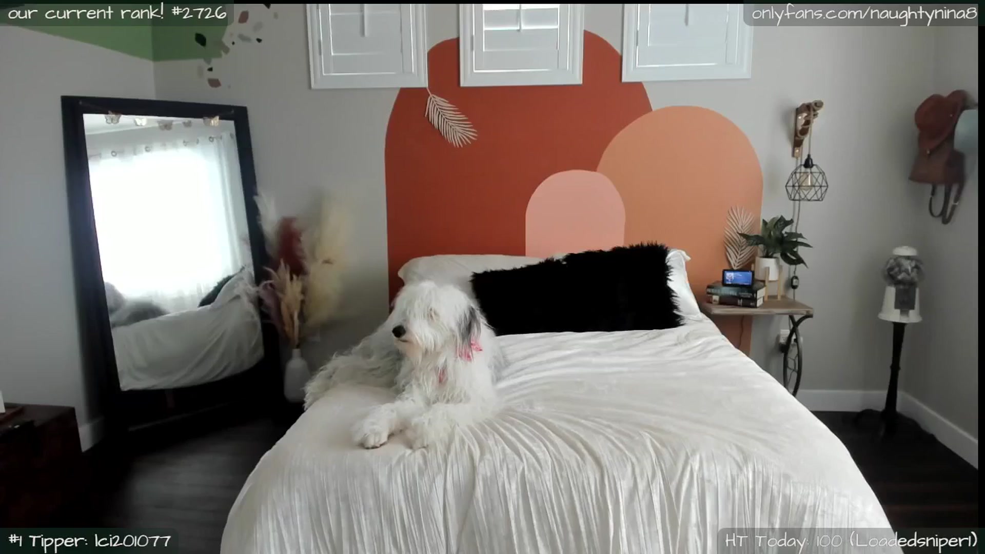 Gallery image thumbnail from Miss_Nina's myfreecams stream on, 01/18/2024, 22:41 image 6 of 20
