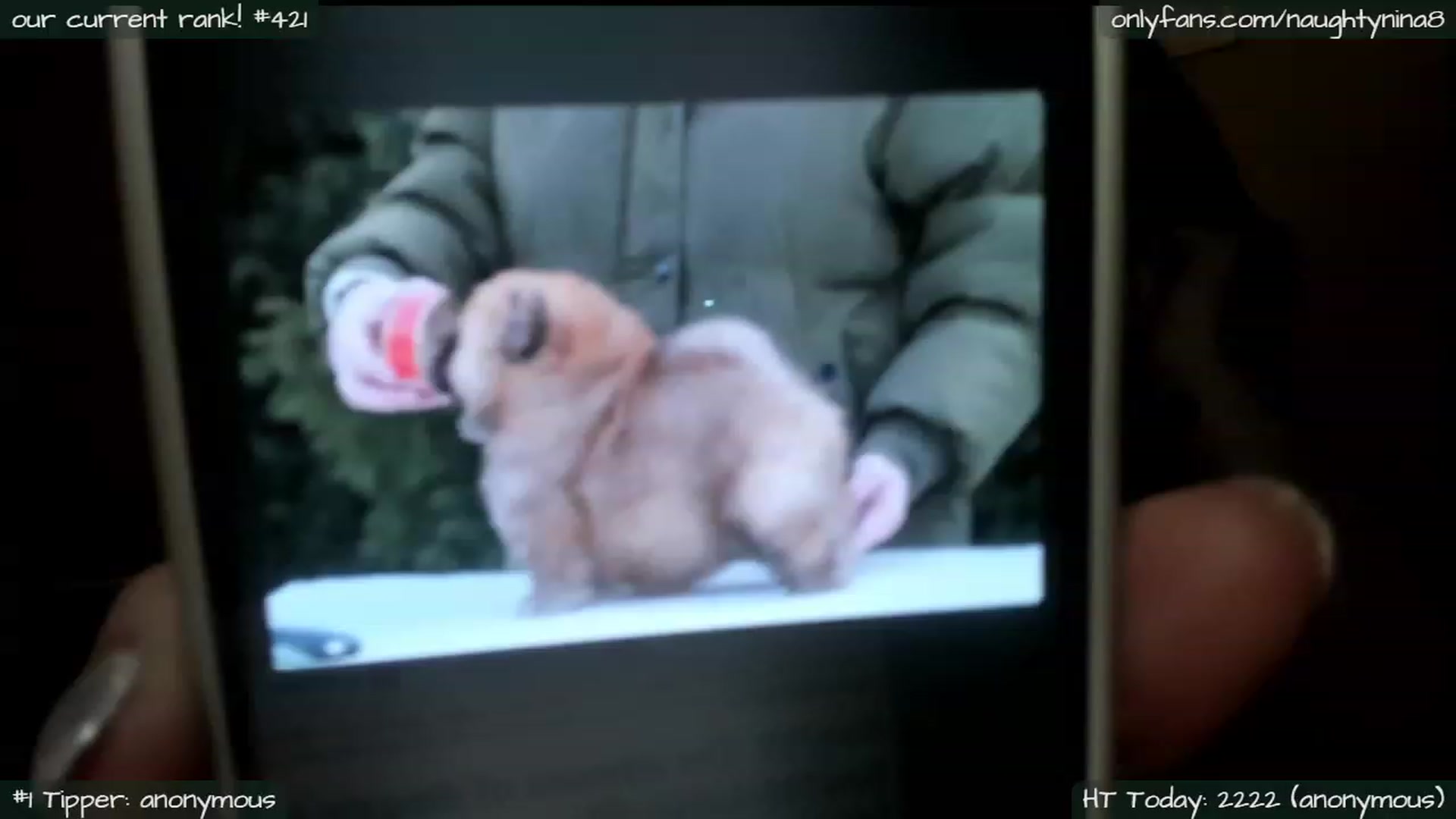 Gallery image thumbnail from Miss_Nina's myfreecams stream on, 02/28/2024, 08:14 image 8 of 20