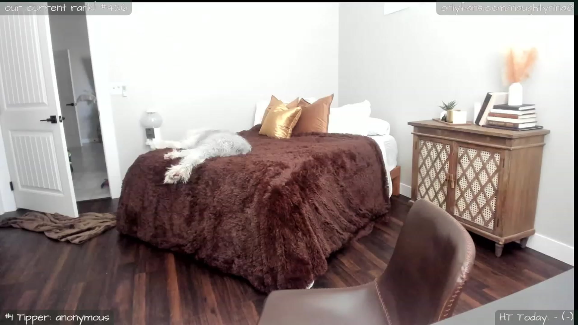 Gallery image thumbnail from Miss_Nina's myfreecams stream on, 02/28/2024, 22:18 image 3 of 20