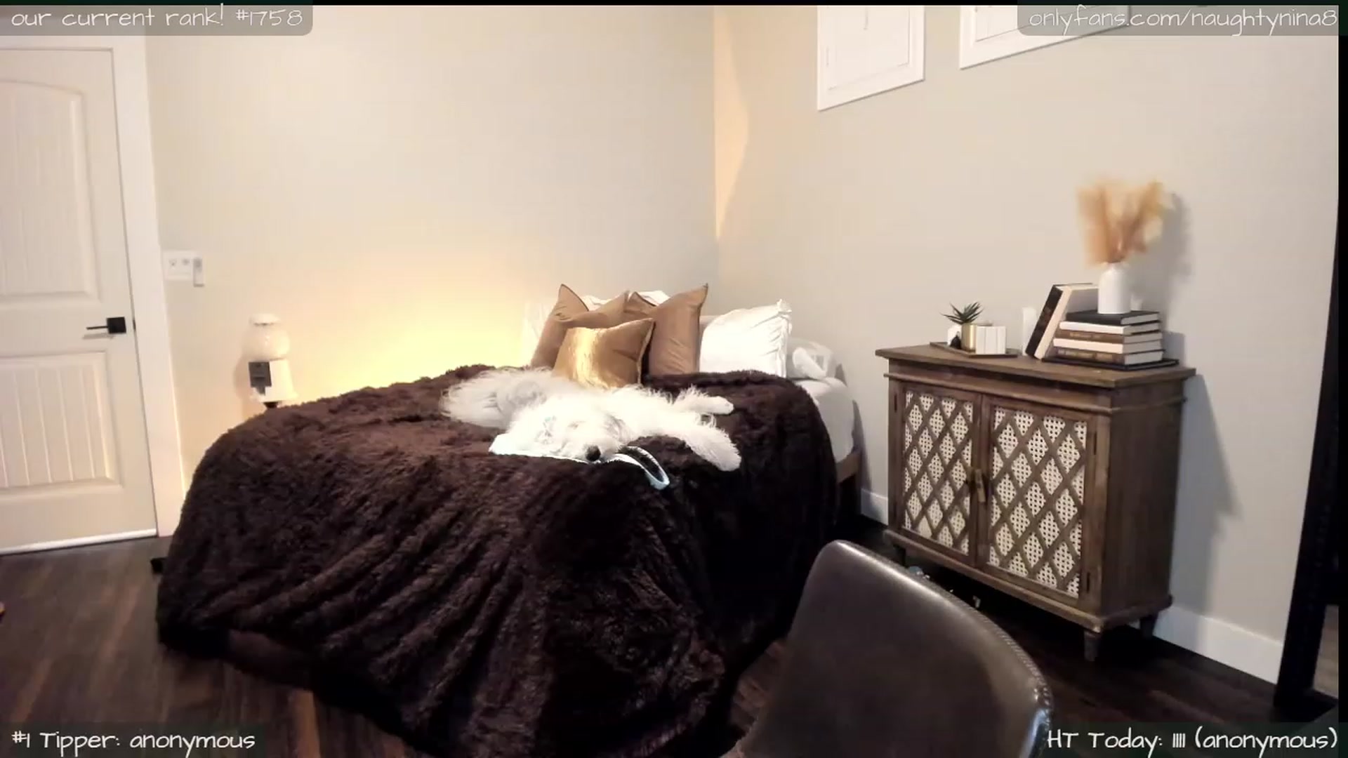 Gallery image thumbnail from Miss_Nina's myfreecams stream on, 03/06/2024, 07:08 image 7 of 20