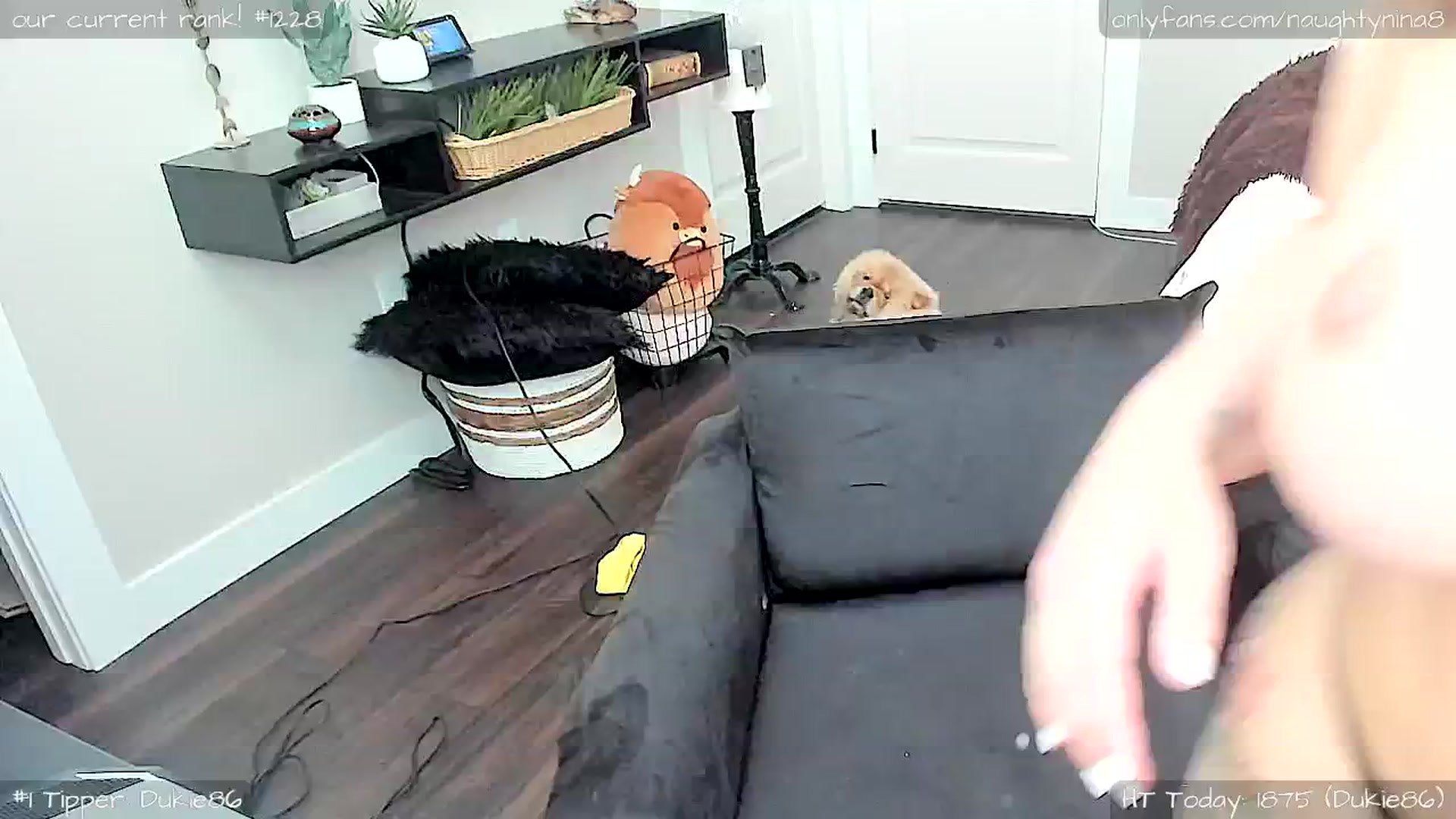 Gallery image thumbnail from Miss_Nina's myfreecams stream on, 06/21/2024, 23:48 image 14 of 20