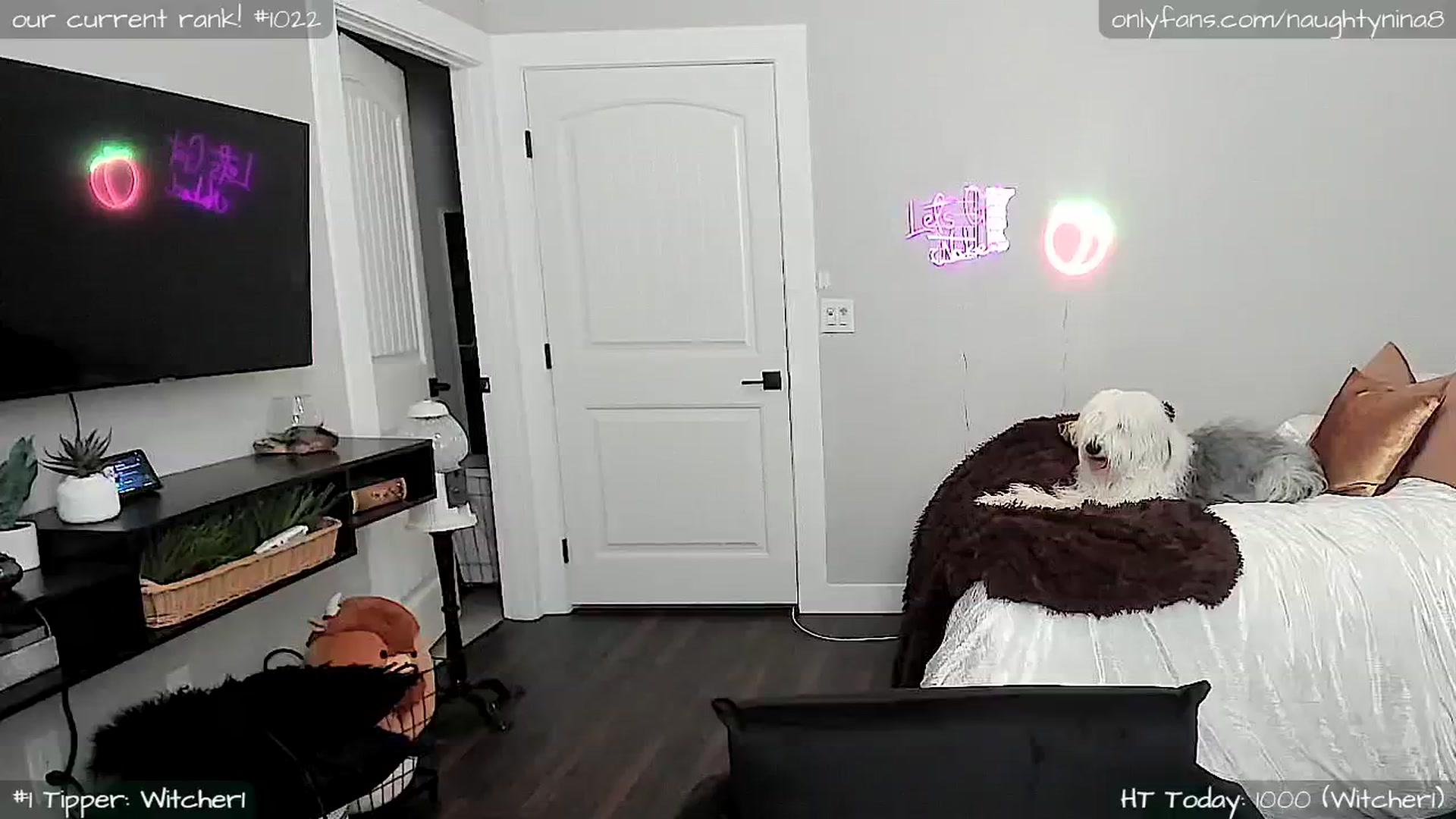Gallery image thumbnail from Miss_Nina's myfreecams stream on, 06/28/2024, 02:07 image 19 of 20