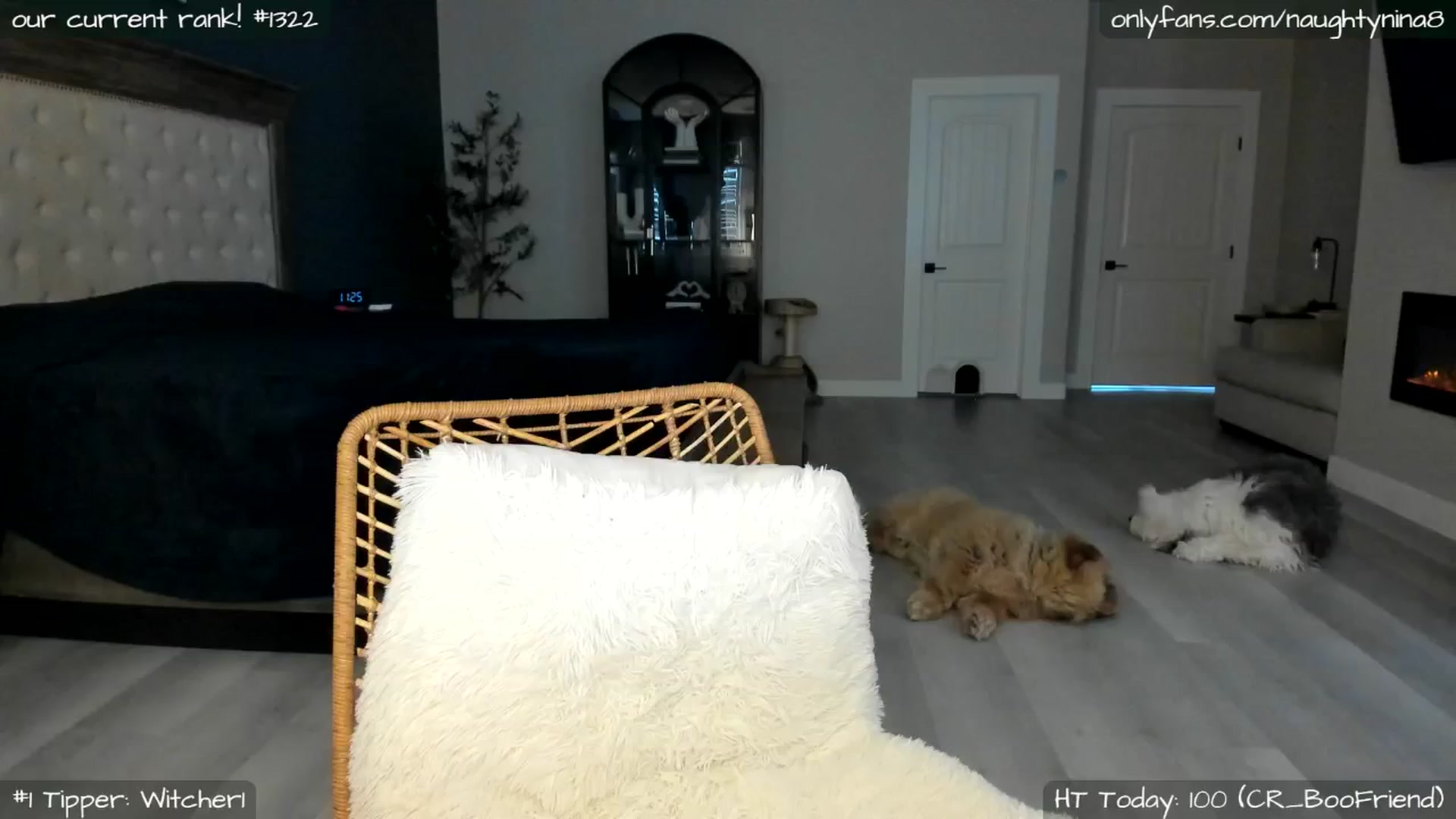 Gallery image thumbnail from Miss_Nina's myfreecams stream on, 05/21/2025, 18:54 image 13 of 20