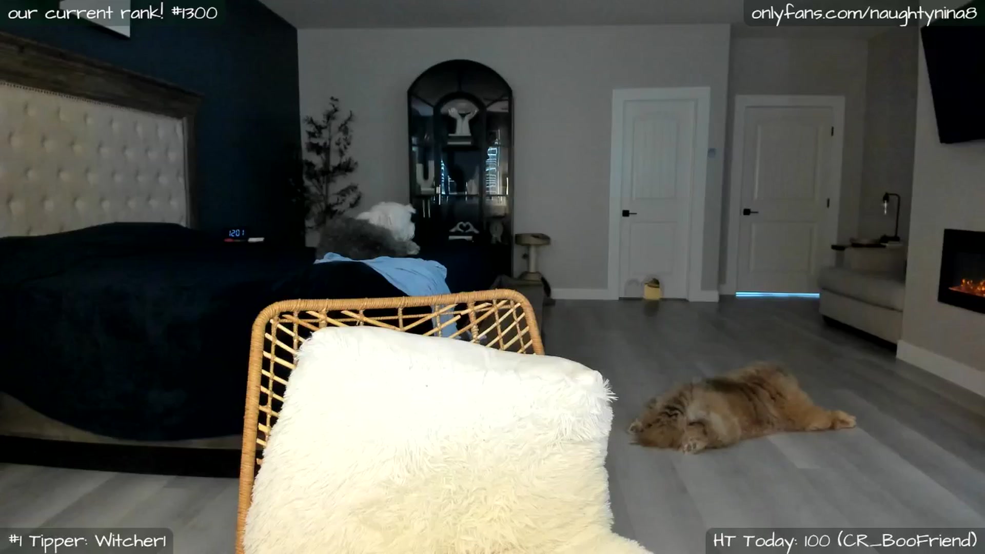 Gallery image thumbnail from Miss_Nina's myfreecams stream on, 05/21/2025, 19:17 image 9 of 20