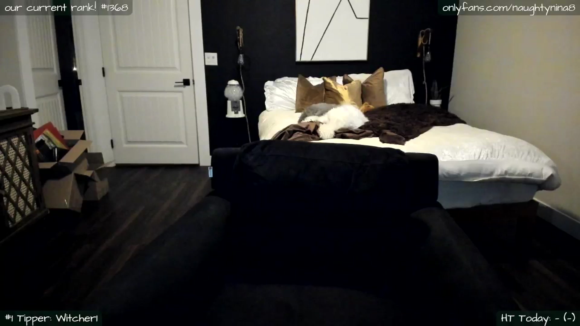 Gallery image thumbnail from Miss_Nina's myfreecams stream on, 01/30/2026, 17:53 image 3 of 20