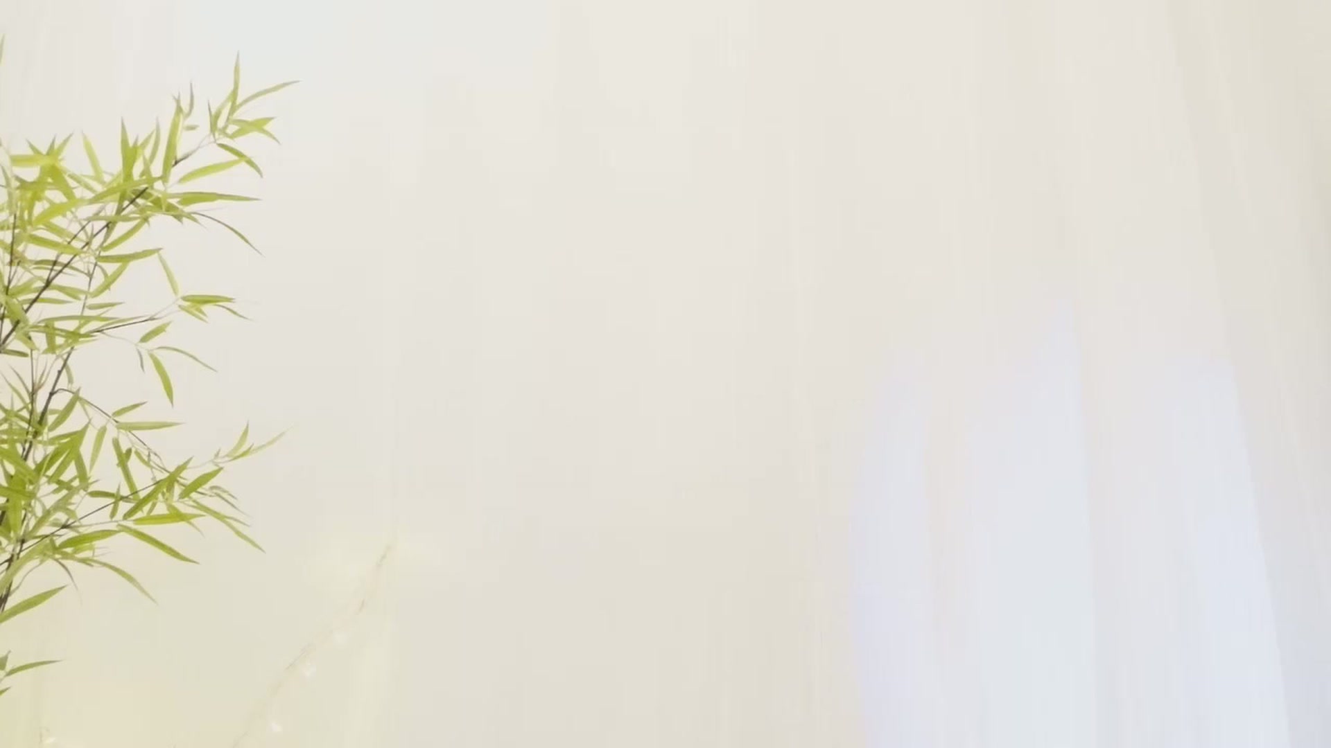 Gallery image thumbnail from Miss_ReinaT's myfreecams stream on, 05/14/2023, 17:04 image 12 of 20